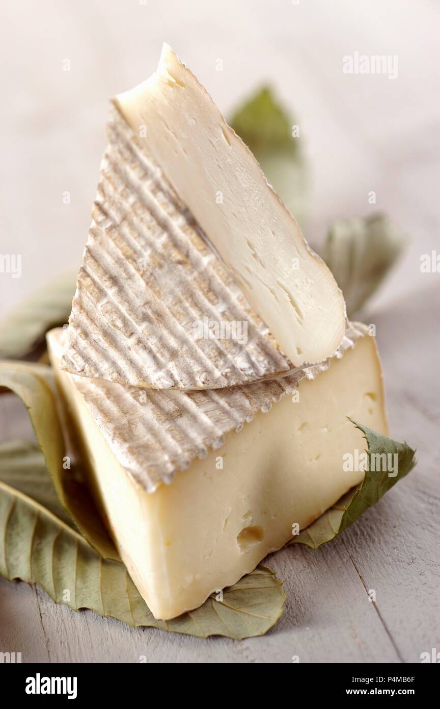 Scimudin (Käse aus der Lombardei, Italien) Stockfoto