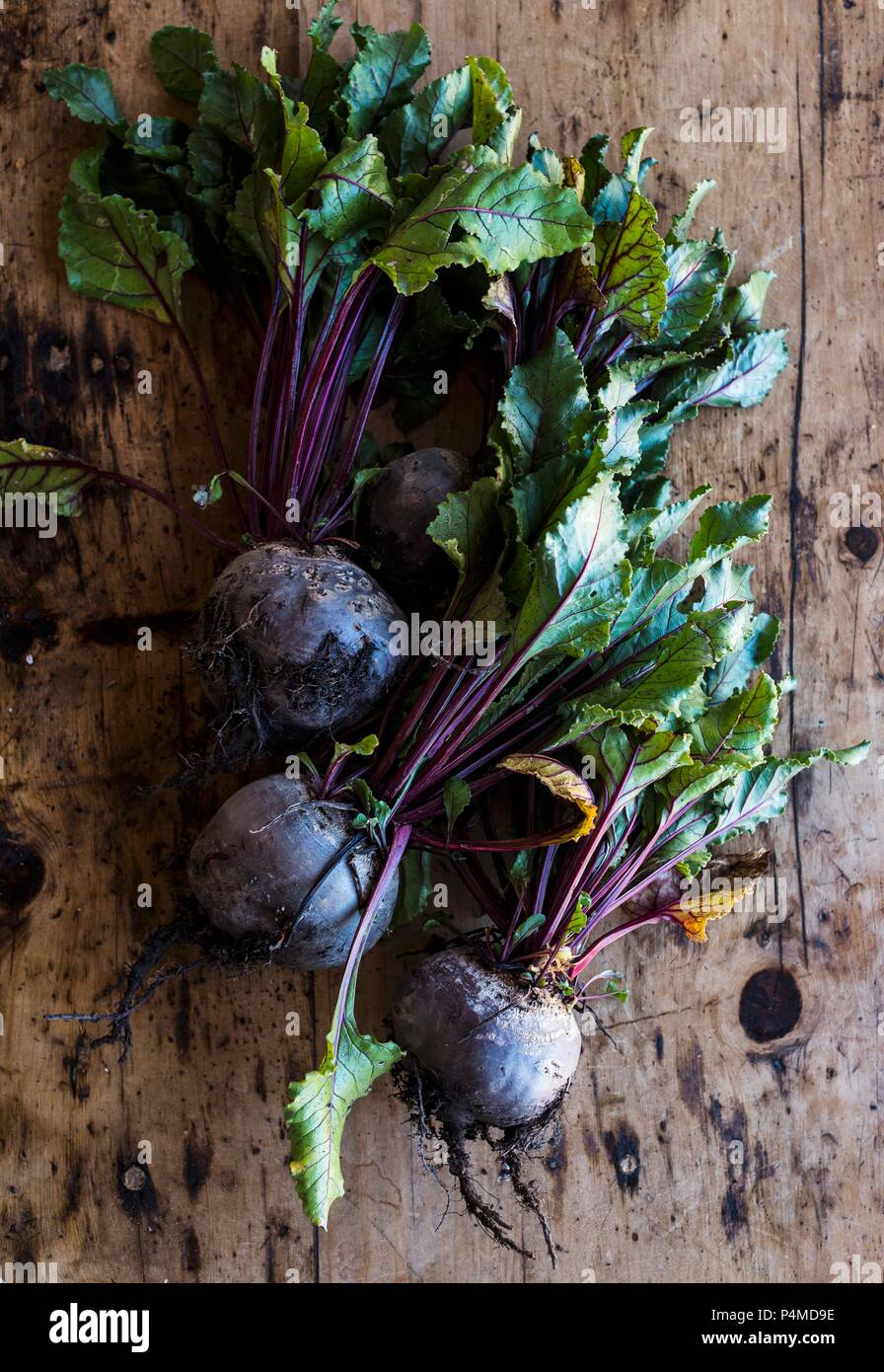 Rote Bete auf einer hölzernen Oberfläche Stockfoto