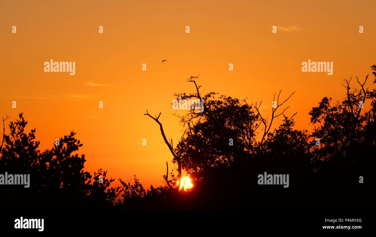 Ft Myers Florida Stockfoto