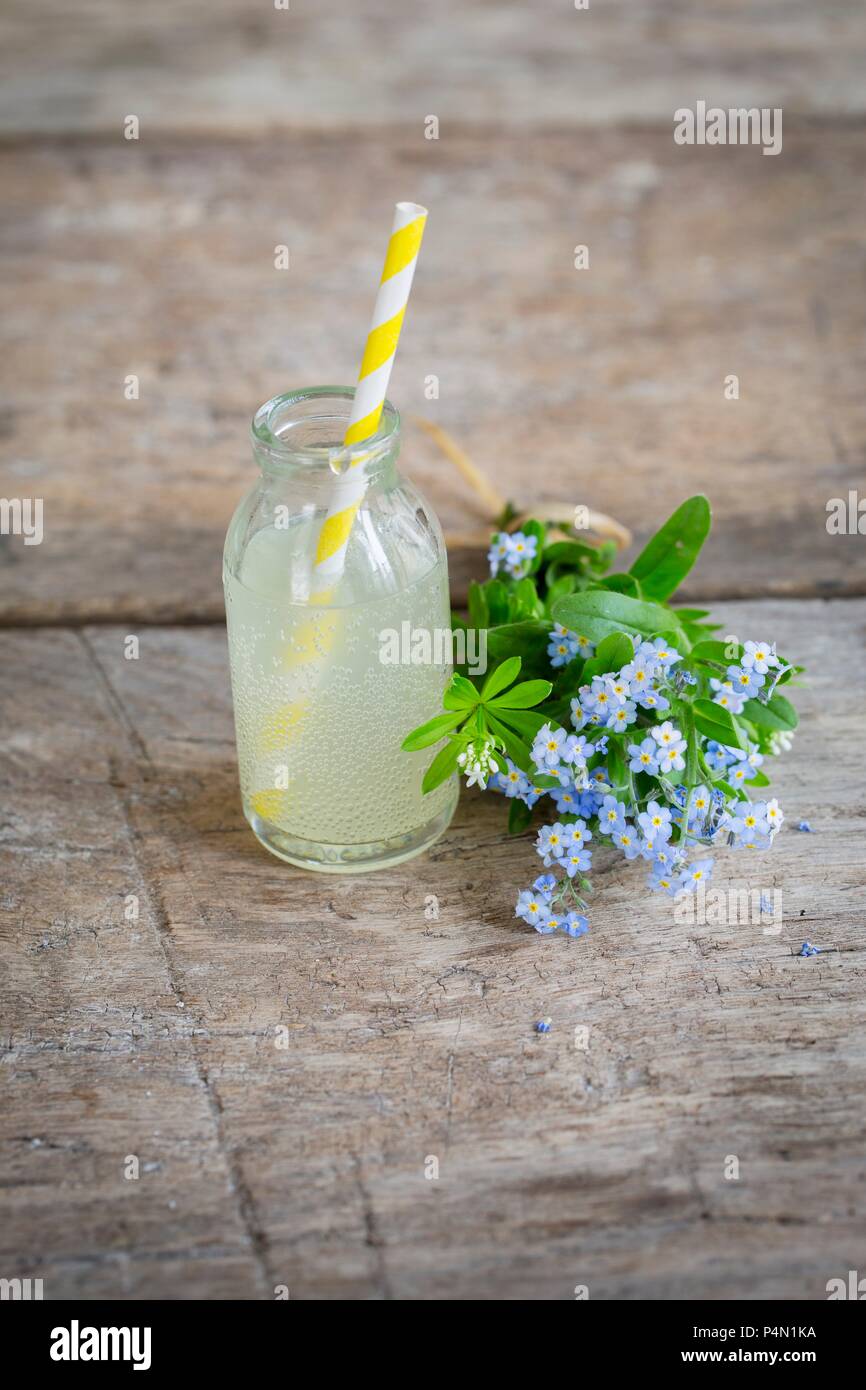 Rhabarber Limonade in einer kleinen Glasflasche neben einen Strauß Vergissmeinnicht Stockfoto
