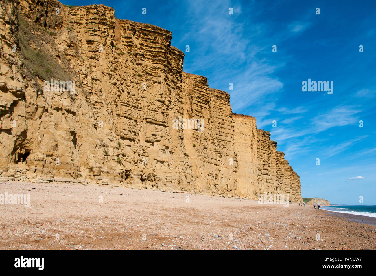 Riesige Klippen Linie am Strand von West Bay, Bridport, Dorset. Die Küste ist der Jurassic Coast Aufgrund der Menge der dort gefundenen Fossilien genannt. Stockfoto