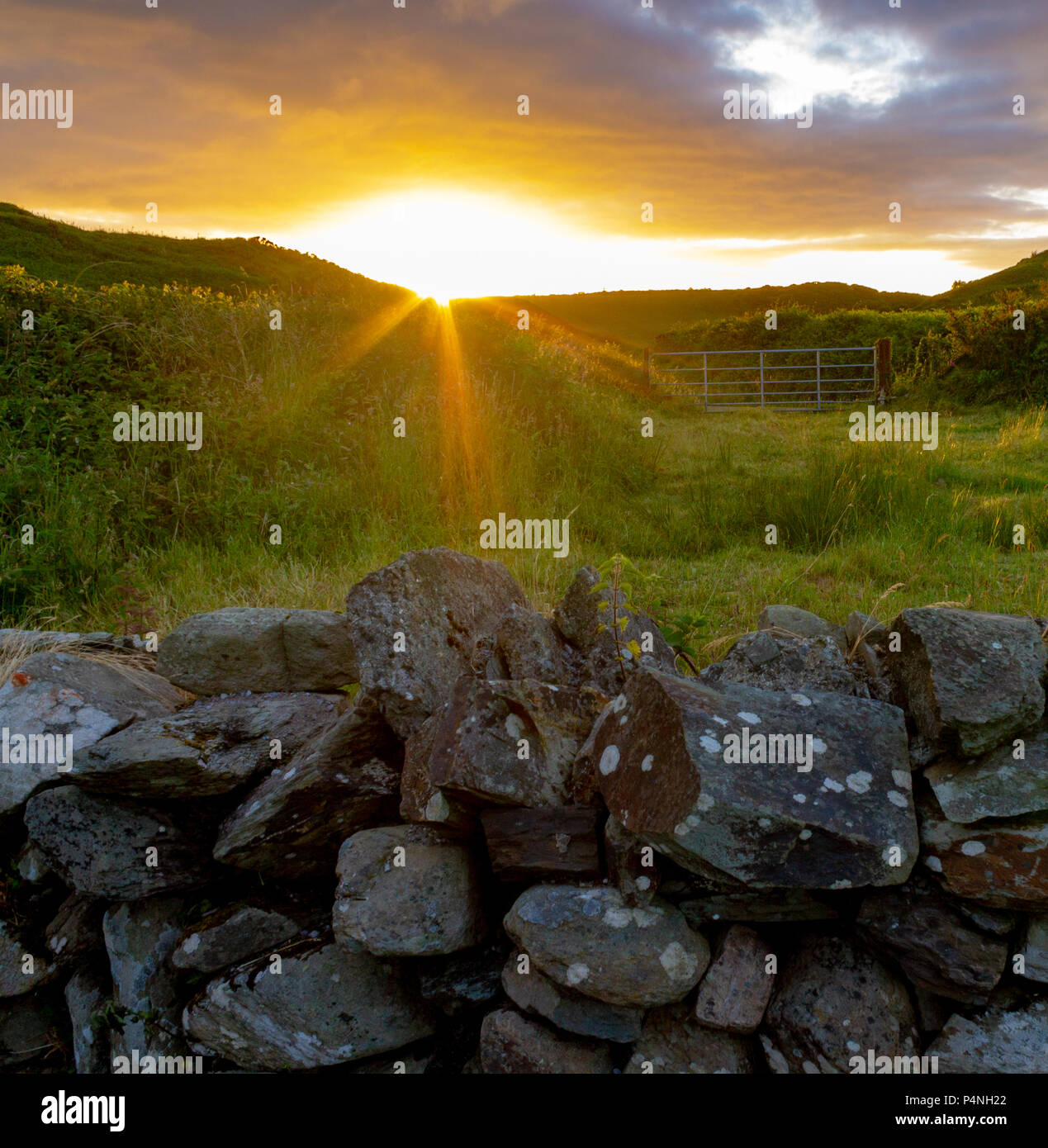 Sonnenaufgang oder Dämmerung über der Landschaft in Irland mit den Sonnenstrahlen Hervorhebung einer Trockenmauer. Stockfoto