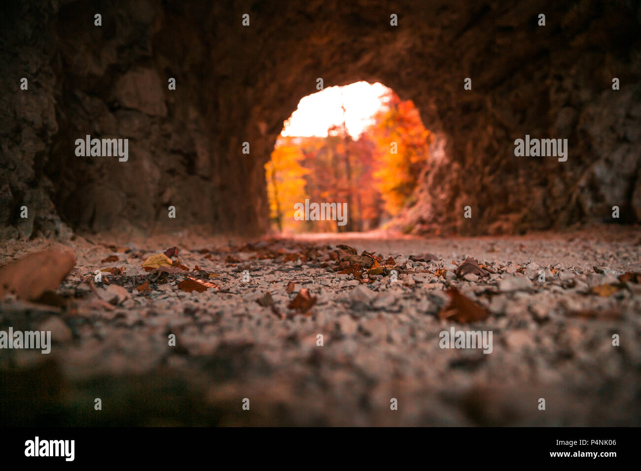 Stein gehauenen Tunnel und roten Abendlicht Eröffnung im Herbst Laub Stockfoto