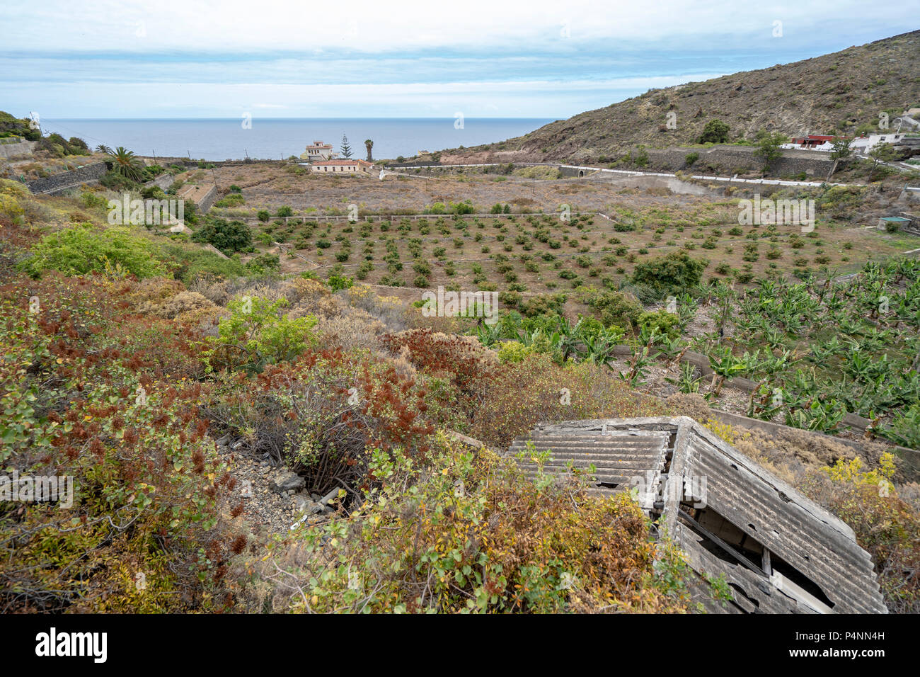 Der Strand San Marco in Icod de los Vinos und Bananen Plantage Farm von oben gesehen Stockfoto