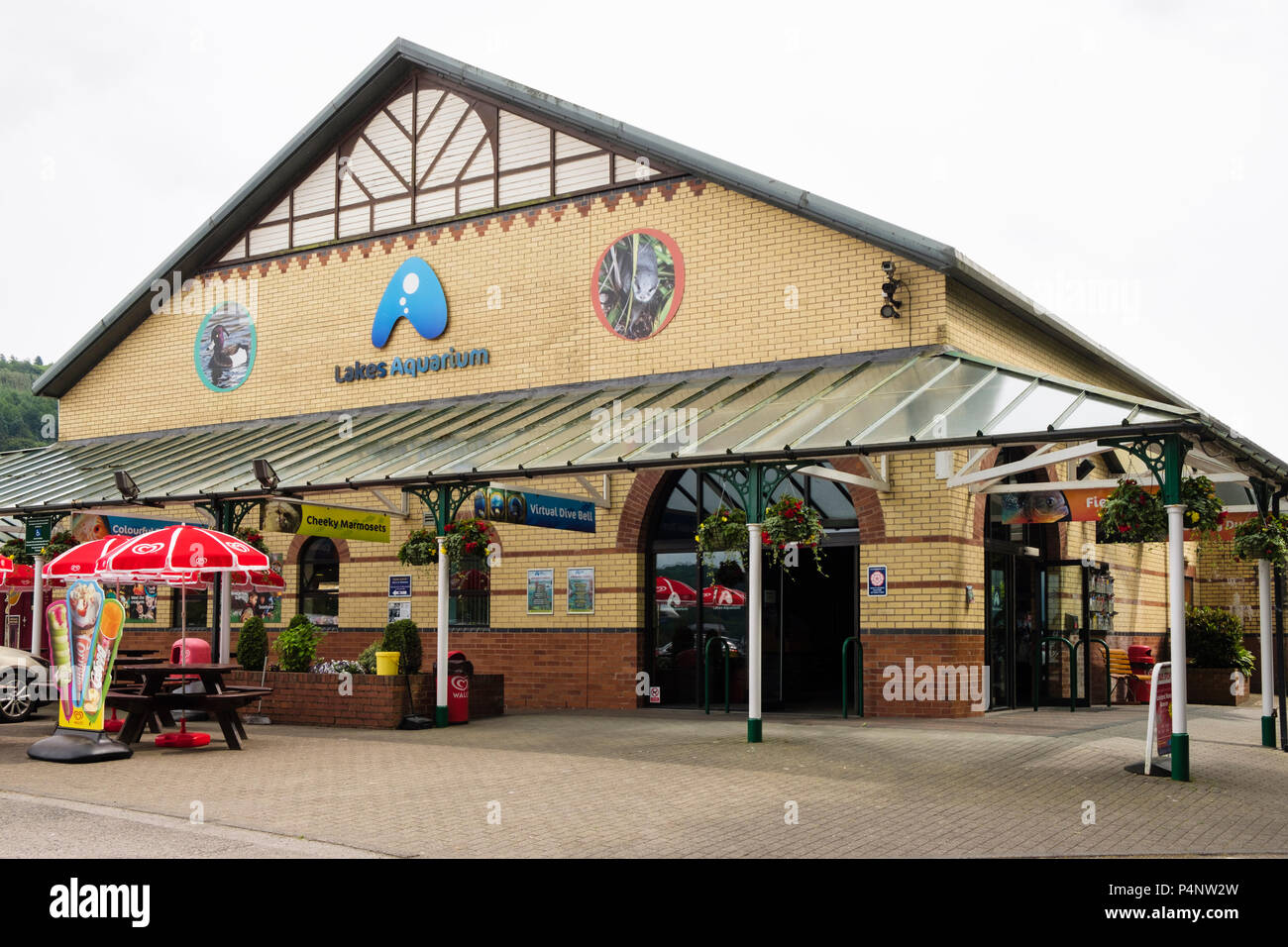 Seen Aquarium in der Steam Railway Station in Lake District National Park. Lakeside, Cumbria, England, Großbritannien, Großbritannien Stockfoto