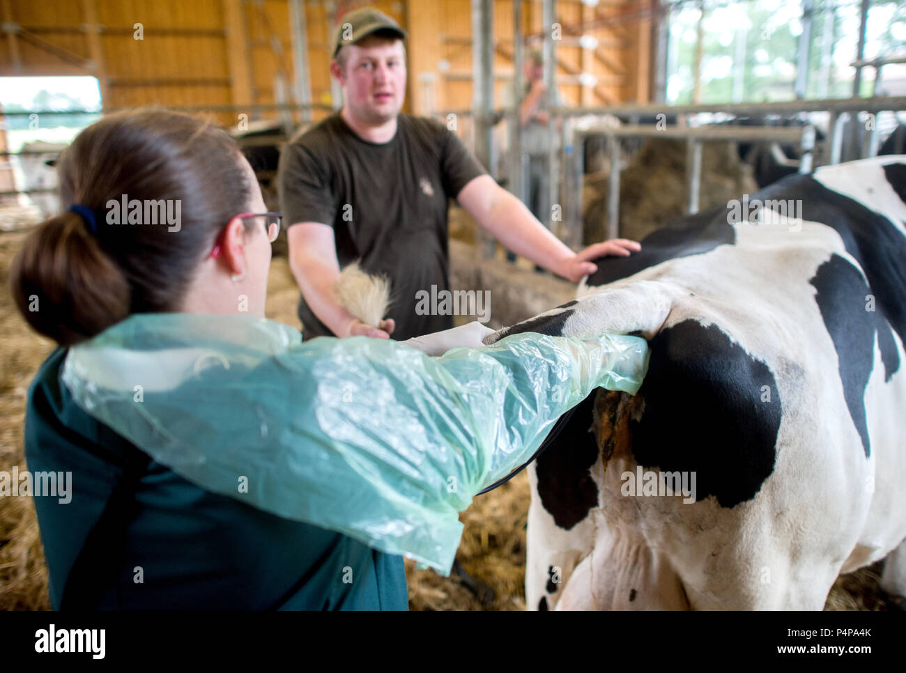 Deutschland, Ummern. 21 Juni, 2018. Susanne Lier, Tierarzt der