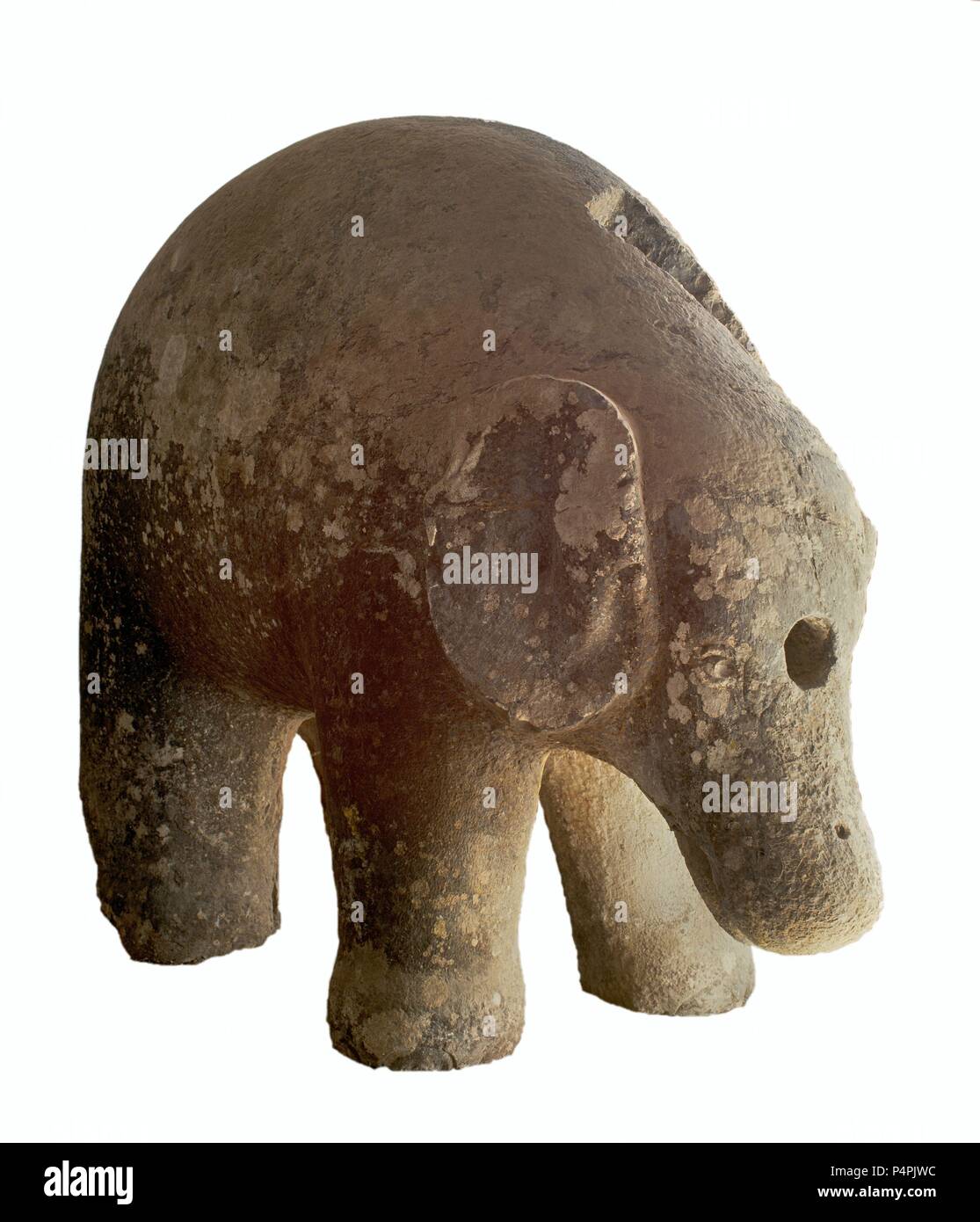 ELEFANTE DE GRANITO S X-DISTRIBUIDOR DE AGUA POR UNA TUBERIA HORADADA EN SU Interieur. Ort: MUSEUM DER BILDENDEN KÜNSTE, CORDOBA, Spanien. Stockfoto