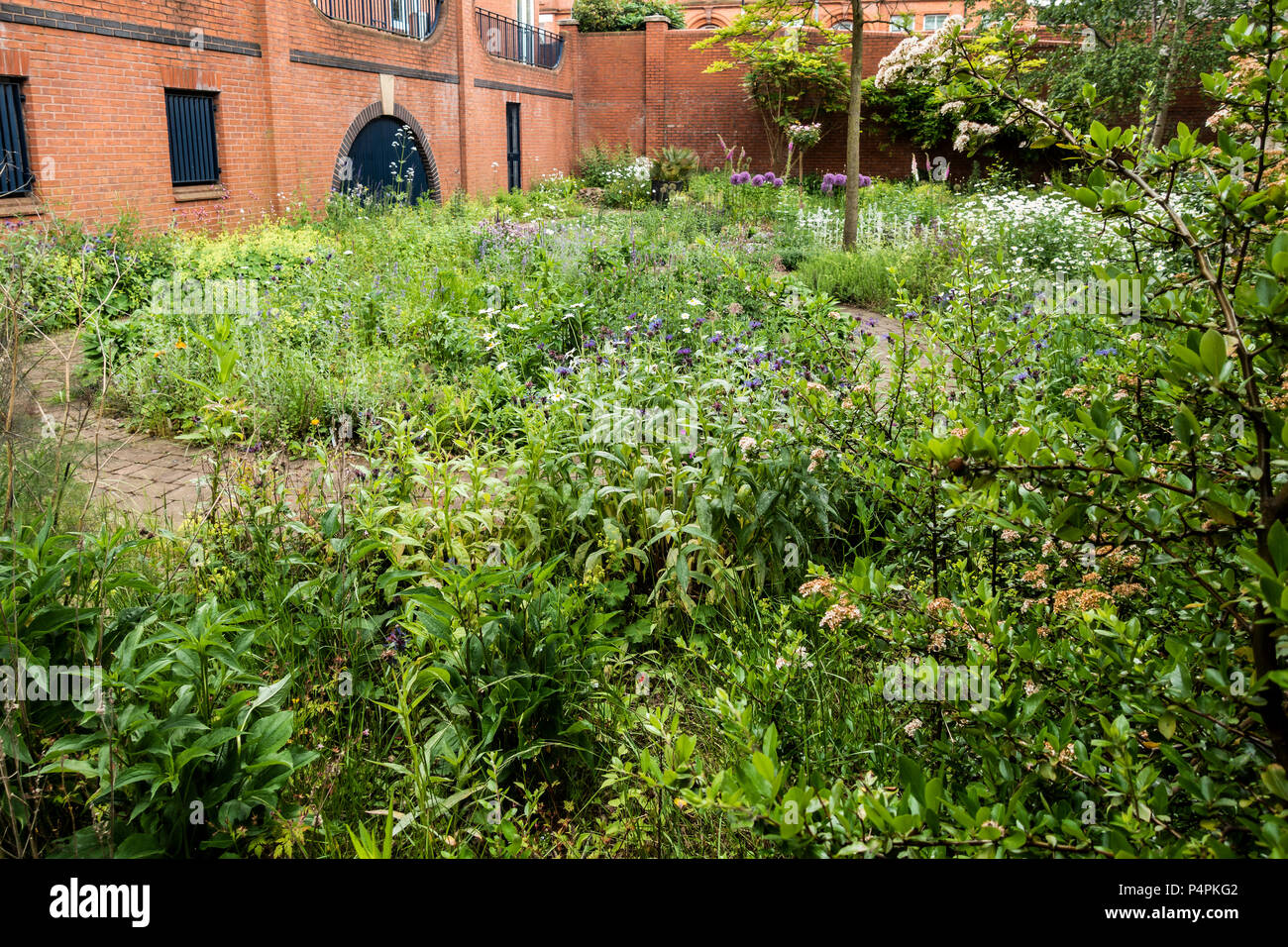 Cottage Garten zwischen Symphonie Gericht und Birmingham Canal alte Linie: Zentrum von Birmingham, West Midlands, England, Großbritannien Stockfoto