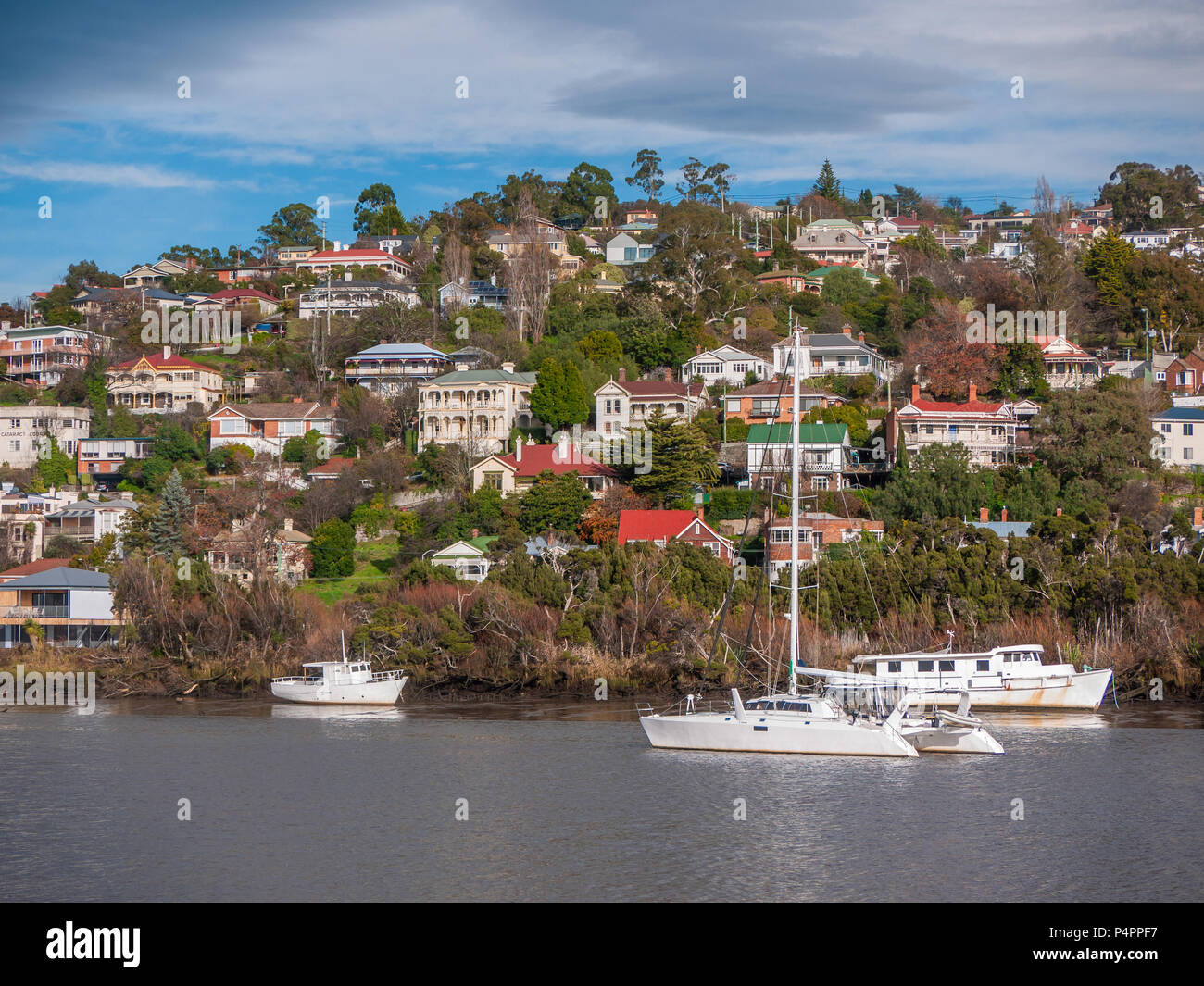 Blick vom Königlichen Park von Wohnhäusern in der Nähe von Tamar River in Launceston. Tasmanien, Australien Stockfoto