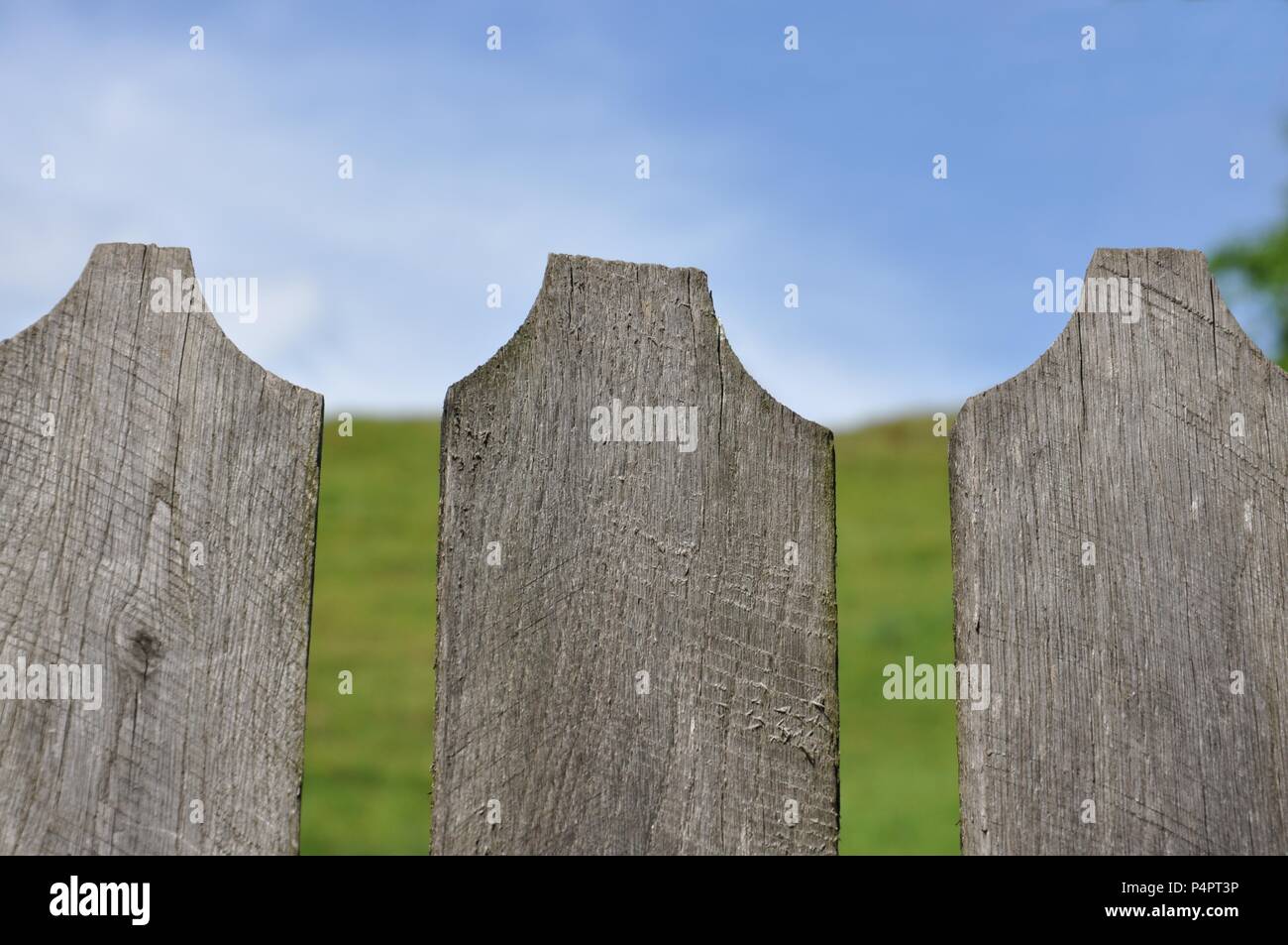 Drei Holz grau Zäune in den Vordergrund mit grünen Wiesen im Hintergrund und den blauen Himmel, Nahaufnahme, selektiver Fokus, kopieren Raum Stockfoto