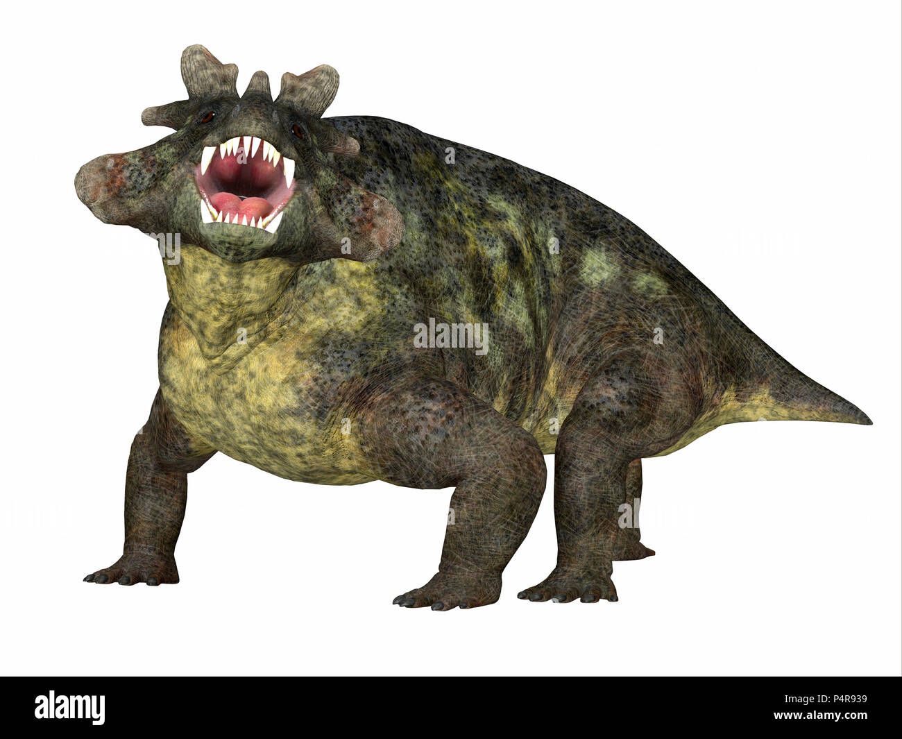 Estemmenosuchus mirabilis war ein Allesfresser therapsid Dinosaurier in der Permian Periode in Russland gelebt. Stockfoto