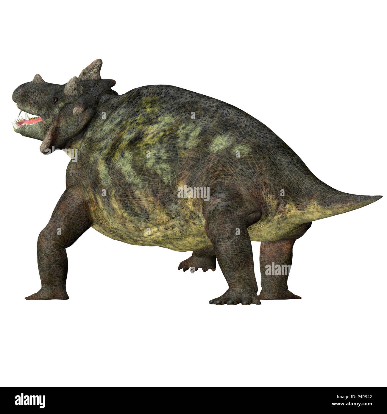 Estemmenosuchus mirabilis Dinosaurier Schwanz - Estemmenosuchus mirabilis war ein Allesfresser therapsid Dinosaurier in der Permian Periode in Russland gelebt. Stockfoto