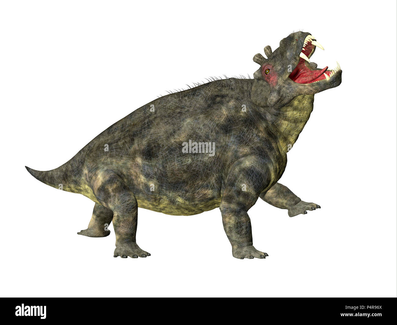Estemmenosuchus uralensis Dinosaurier Seite Profil - Estemmenosuchus uralensis war ein Allesfresser therapsid Dinosaurier in der Permian Periode lebte. Stockfoto