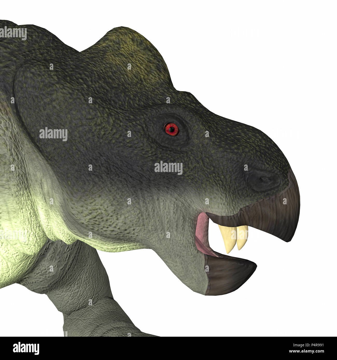 Dicynodont Kannemeyeria war ein pflanzenfressende Dinosaurier der in Südafrika, Argentinien, Indien und China während der Trias lebte. Stockfoto