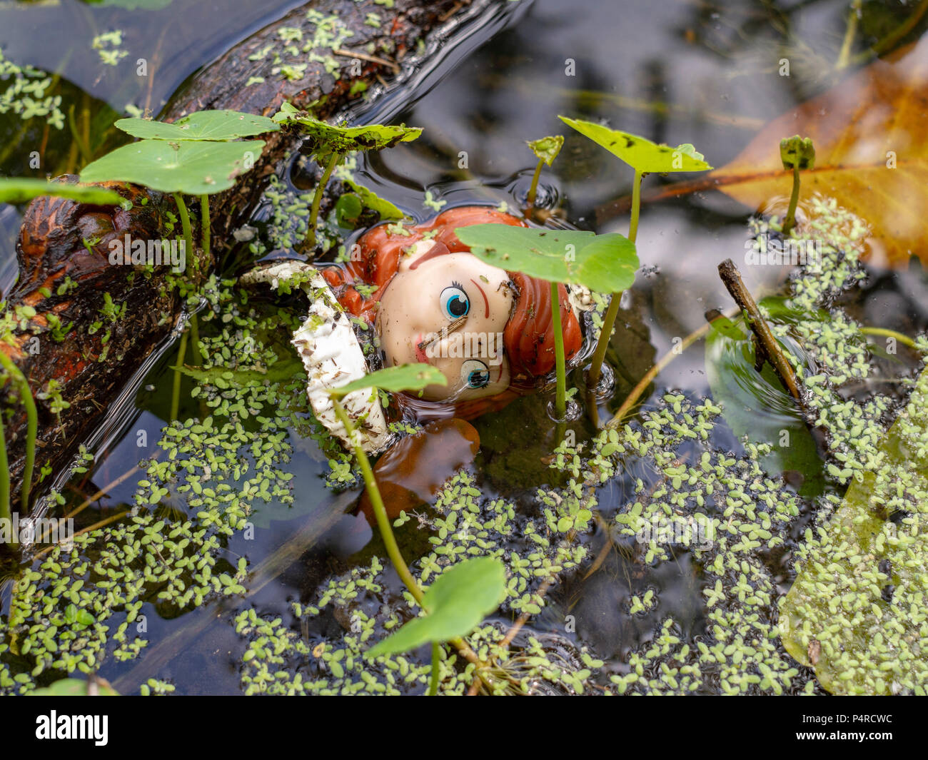 Ein Kunststoff Puppe Kopf schwebt in einem Teich in Algen und andere Wasserpflanzen in New Orleans, Louisiana. Stockfoto