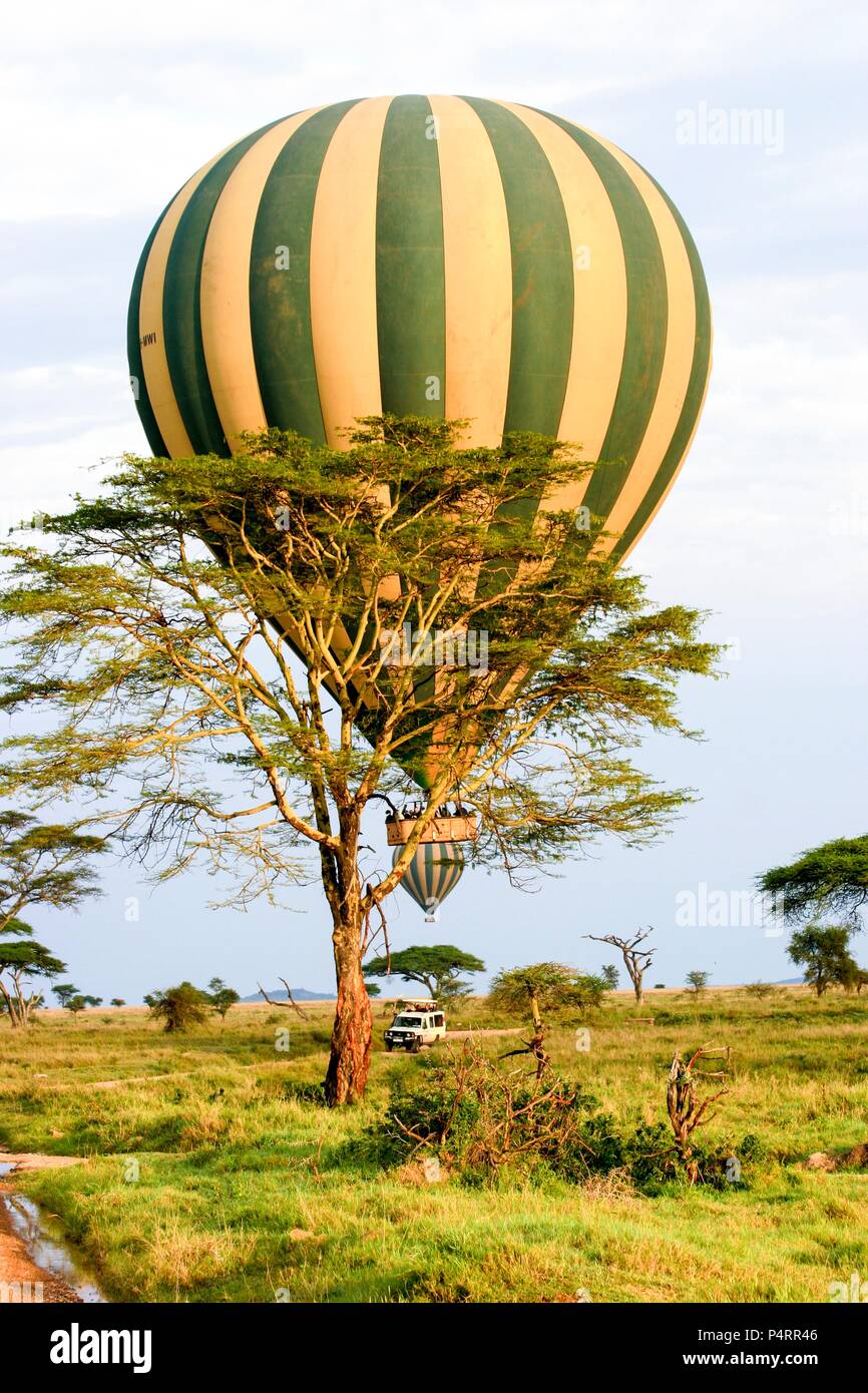 Hot Air Balloon Safari. In der Serengeti National Park, Tansania fotografiert. Stockfoto