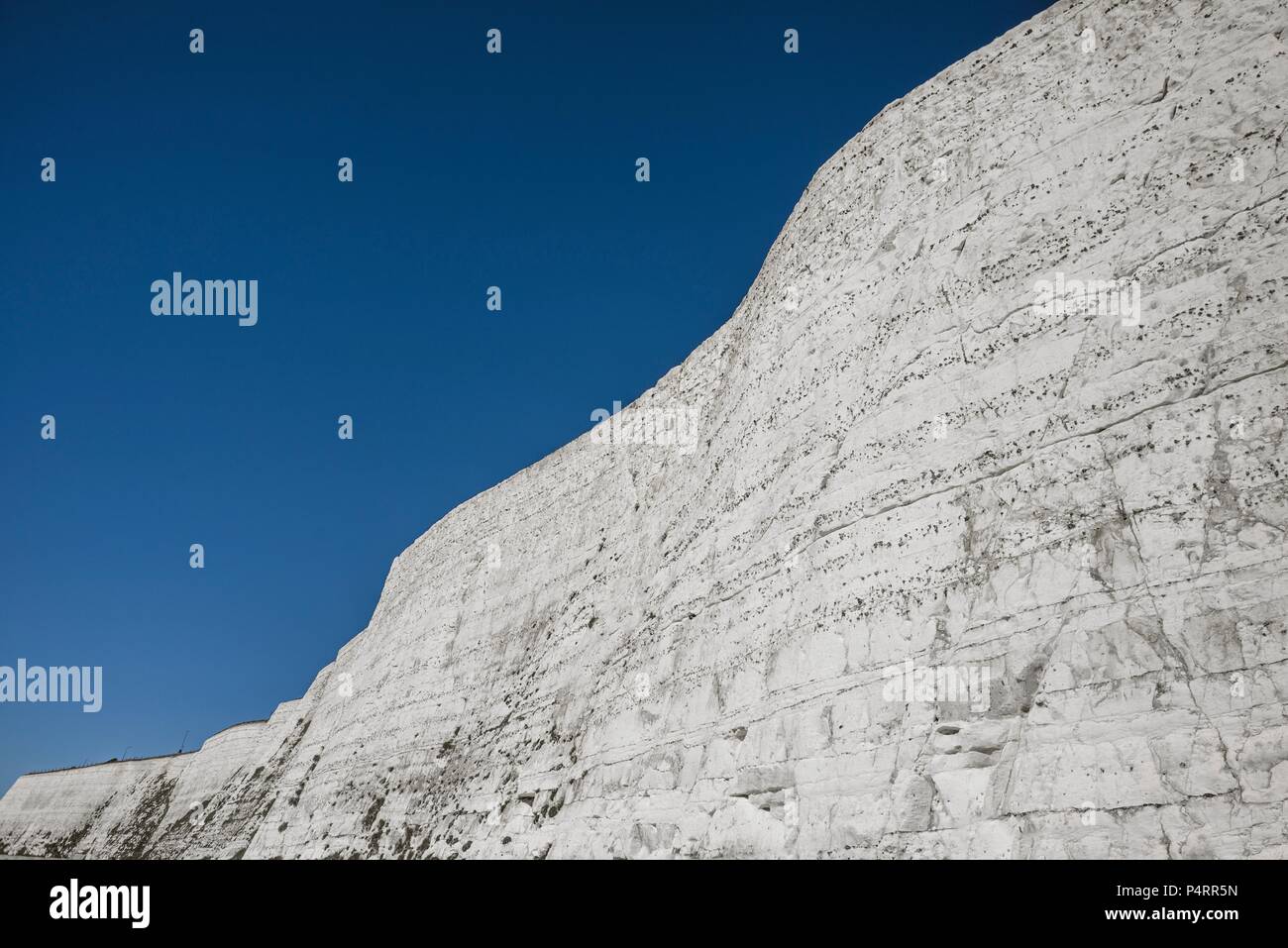 Kreidefelsen, Saltdean, Sussex, UK. Stockfoto