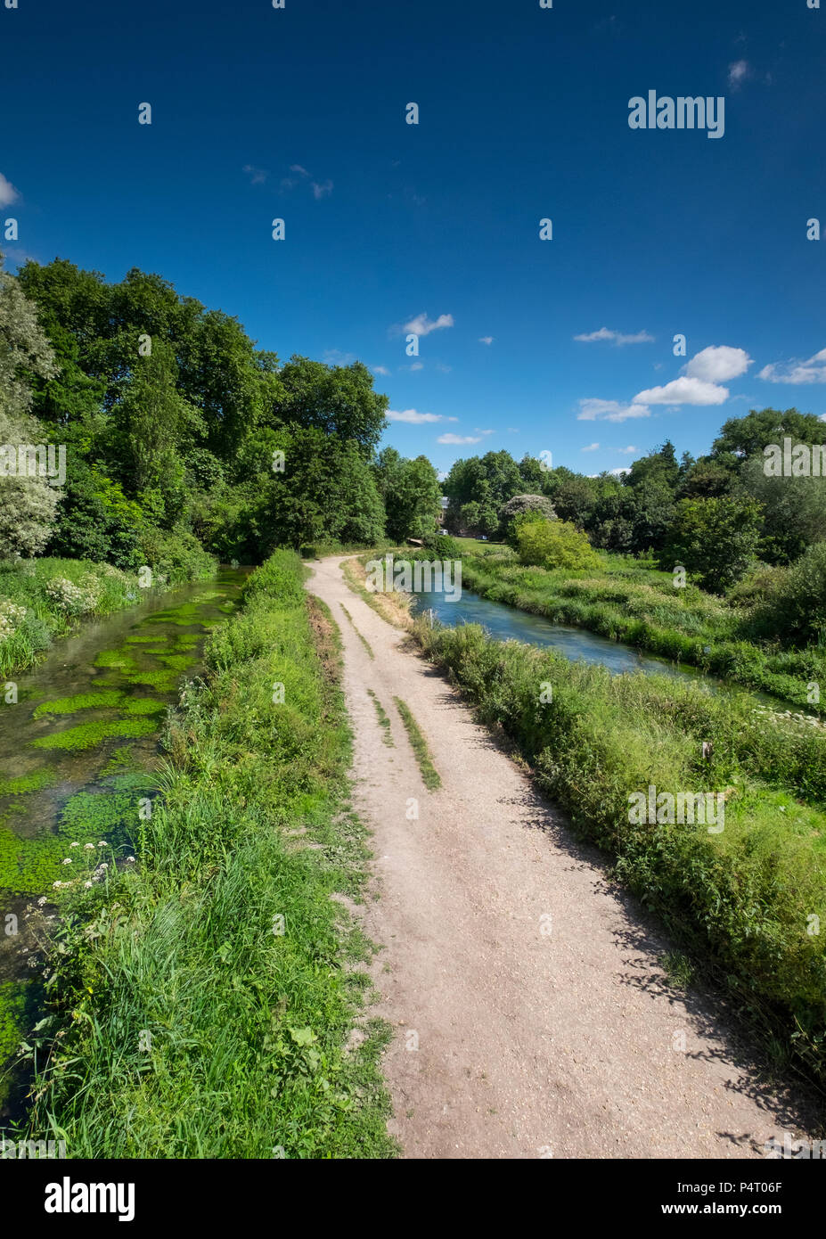 Winchester Wasser Wiesen, am Rande der Stadt Winchester, Hampshire, UK Stockfoto