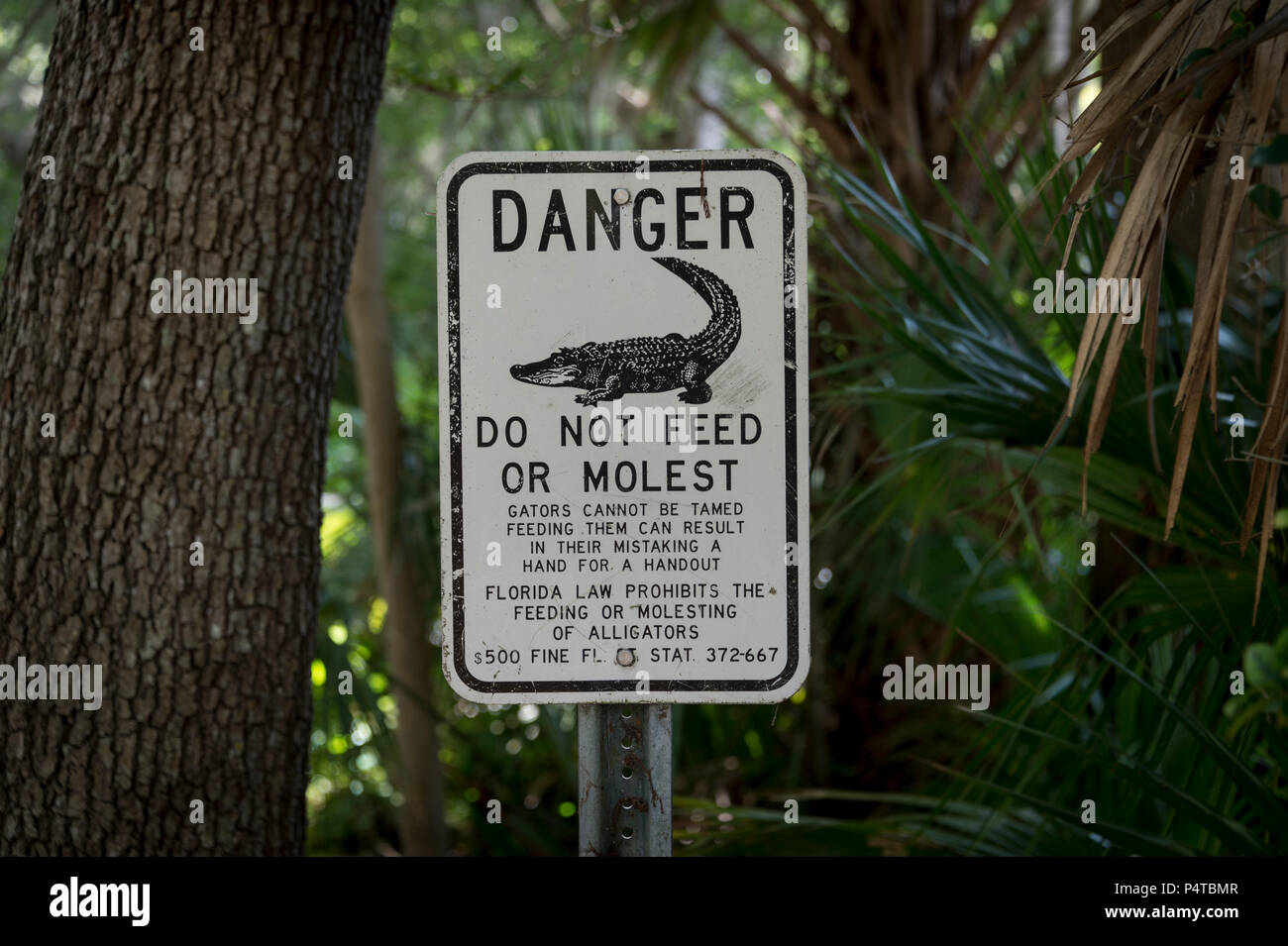 Nicht füttern die Alligatoren Zeichen Stockfoto
