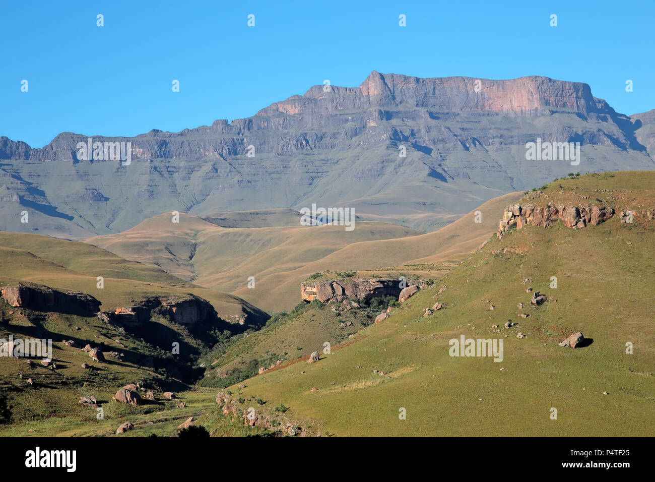 Malerischen Drakensberge Berglandschaft, Giants Castle Naturschutzgebiet, Südafrika Stockfoto
