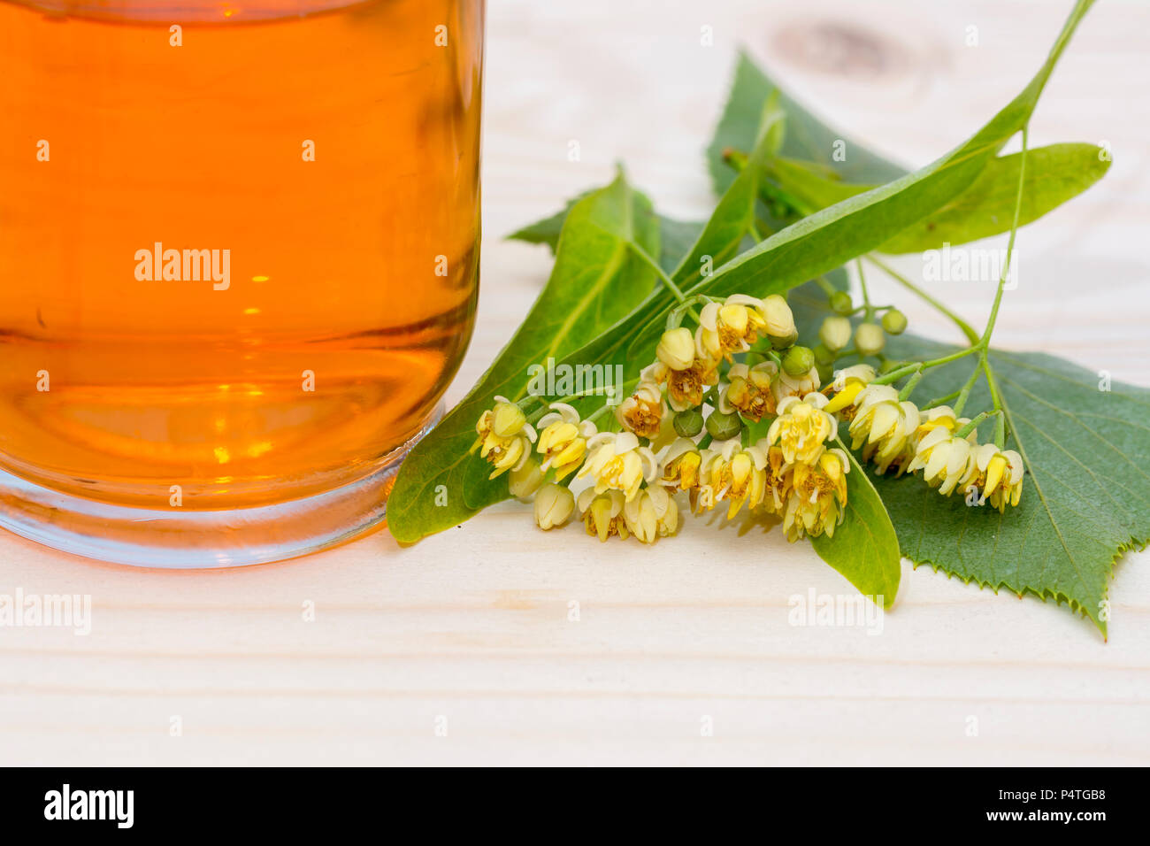 Linden Tee in ein Glas Schale Blüten und Linden Blätter Stockfoto