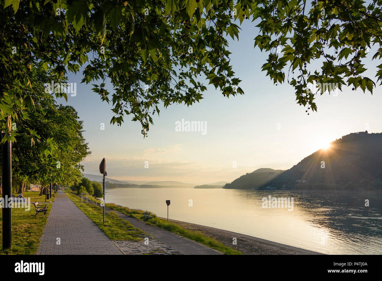 Visegrád (Plintenburg): Donau, Obere und Untere Schloss, Ansicht von Nagymaros in Ungarn, Pest, Donauknie (Dunakanyar) Stockfoto