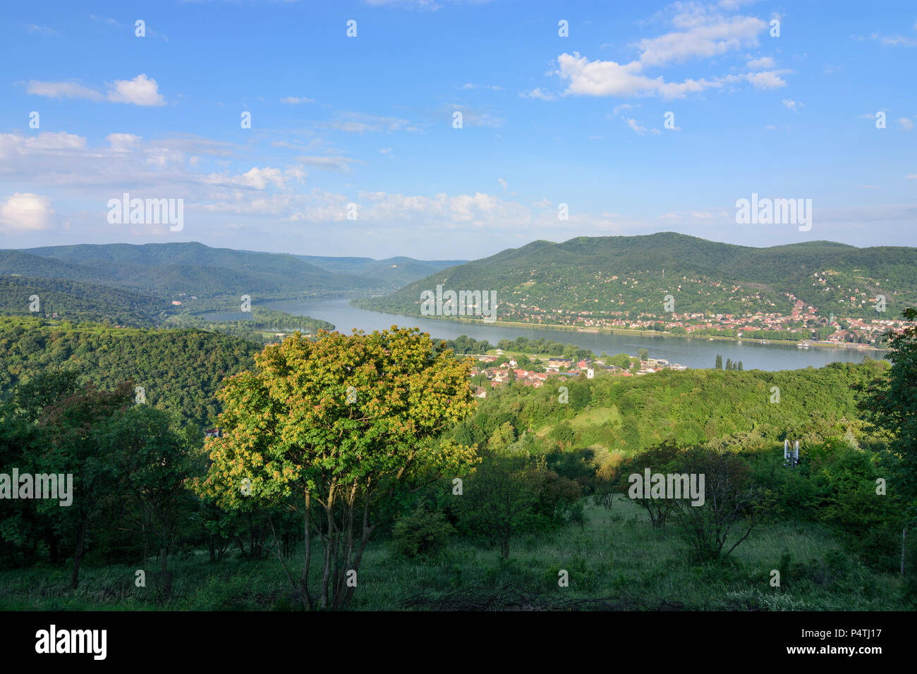 Visegrád (Plintenburg): Donau, Visegrad, Nagymaros, Pilis (links) und Börzsöny Berge in Ungarn, Pest, Donauknie (Dunakanyar) Stockfoto