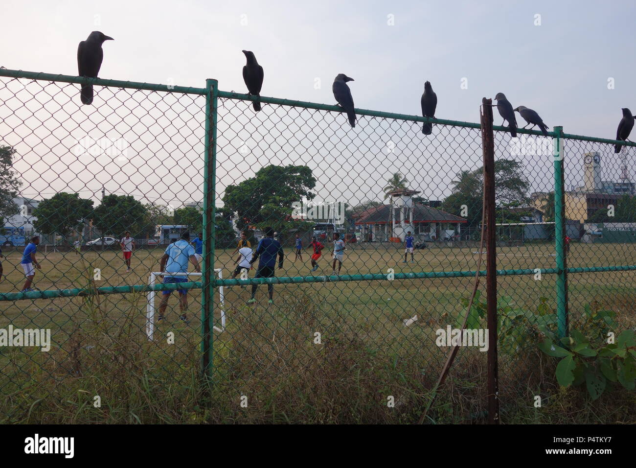 Neue wohnblocks mit Blick auf die riesigen verweigern heap Galle Sri Lanka Stockfoto