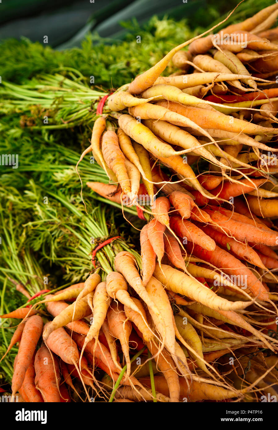 Frischen gesunden Karotten am lokalen Markt Stockfoto
