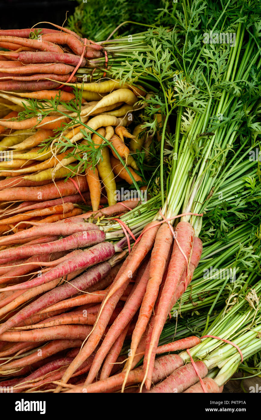 Frische Karotten für Verkauf an ein Markt im Freien Stockfoto