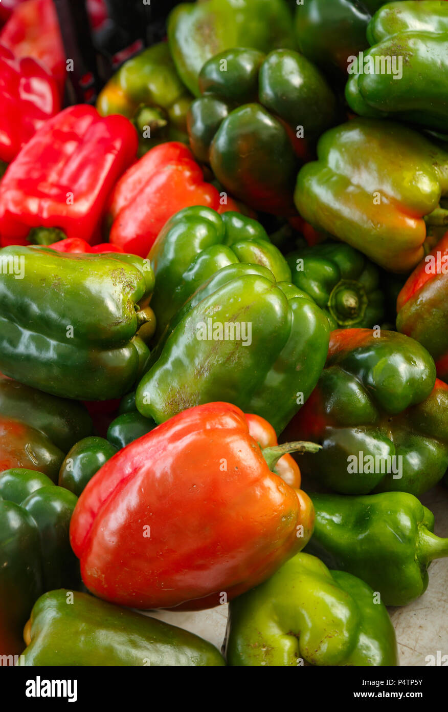 Frisch gepflückt Grüne und rote Paprika Stockfoto