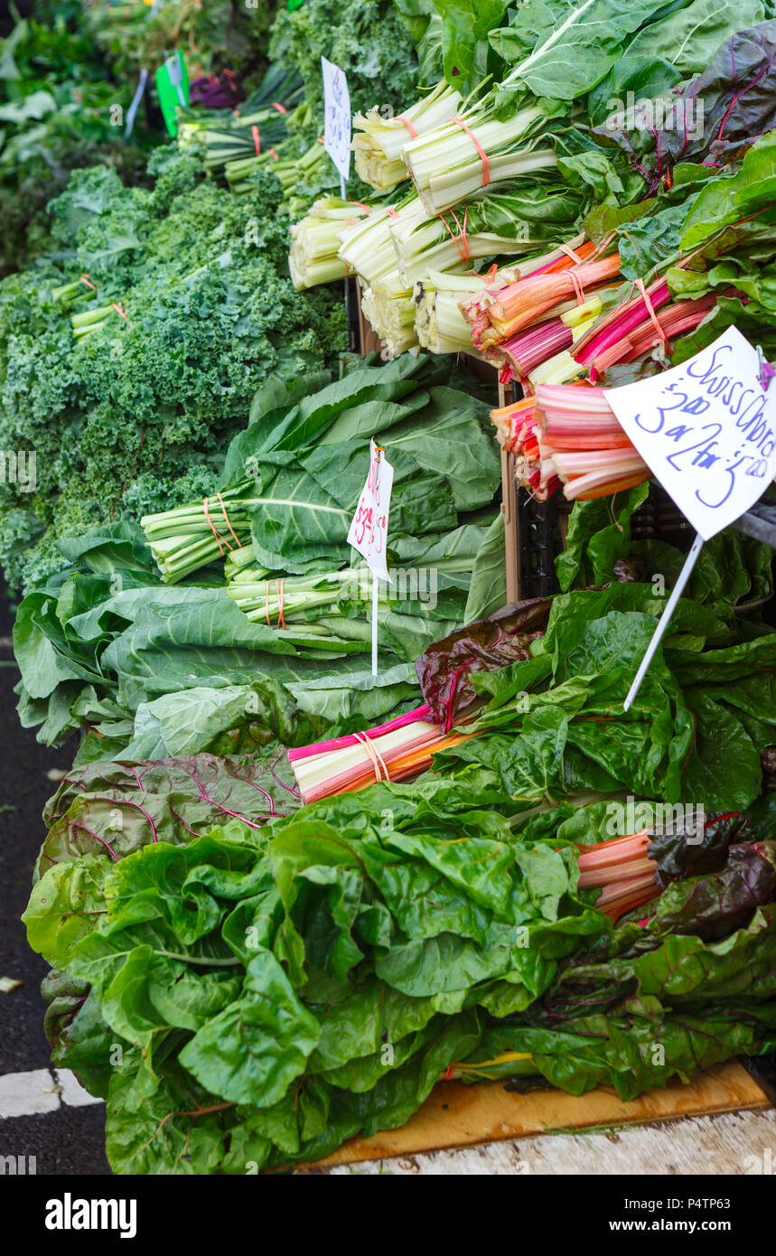 Vielzahl von Frische, gesunde Blattgemüse an einer im Markt in Northern VA USA Stockfoto
