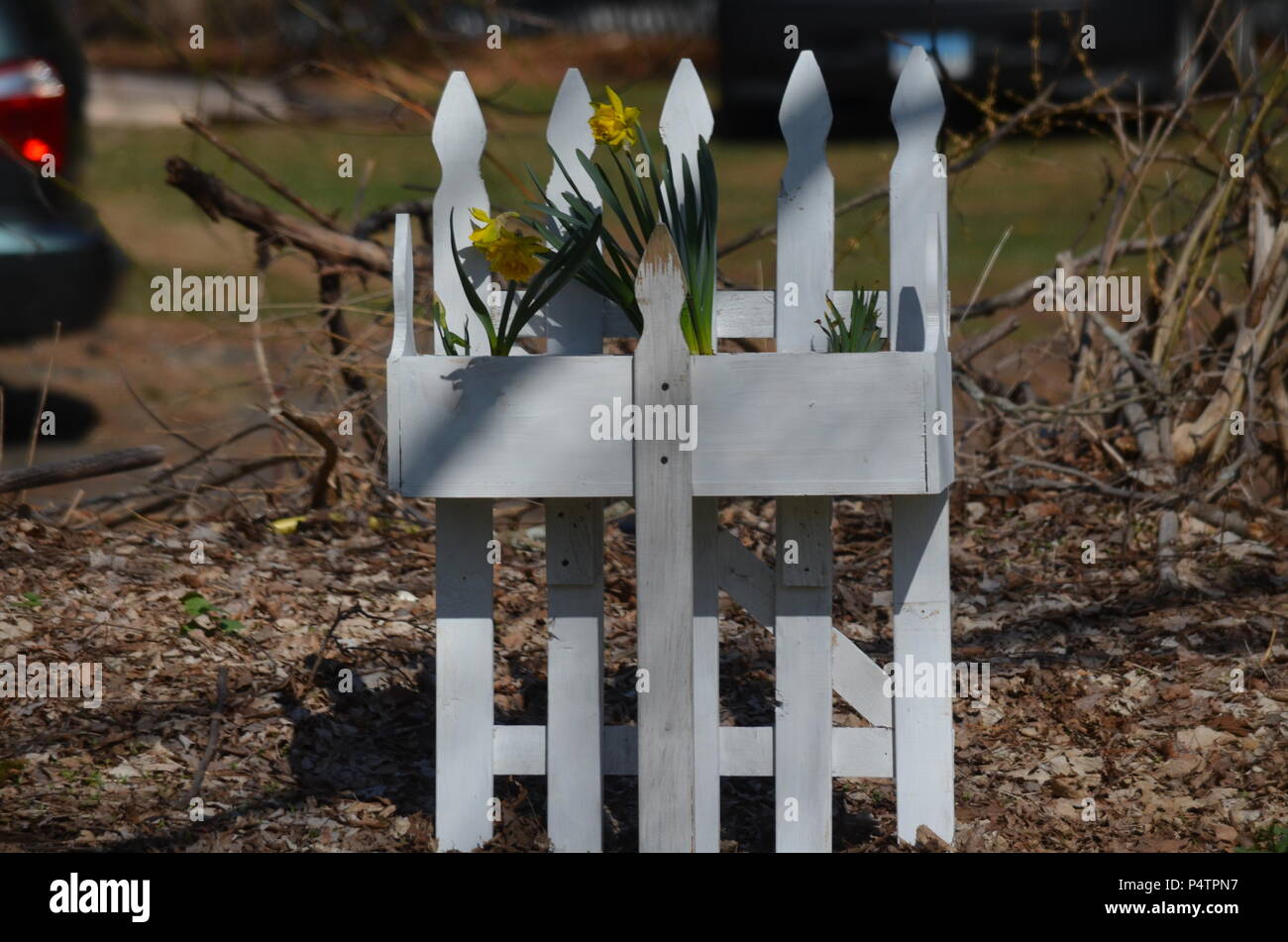 Ein lattenzaun Pflanzmaschine Stockfoto