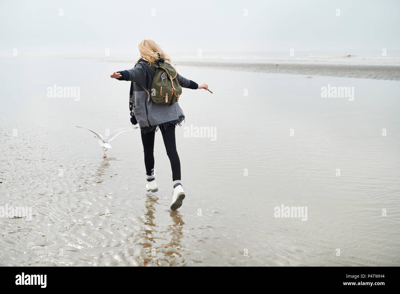 Niederlande, Rückansicht der jungen Frau mit Rucksack zu Fuß hinter einer Möwe am Strand Stockfoto