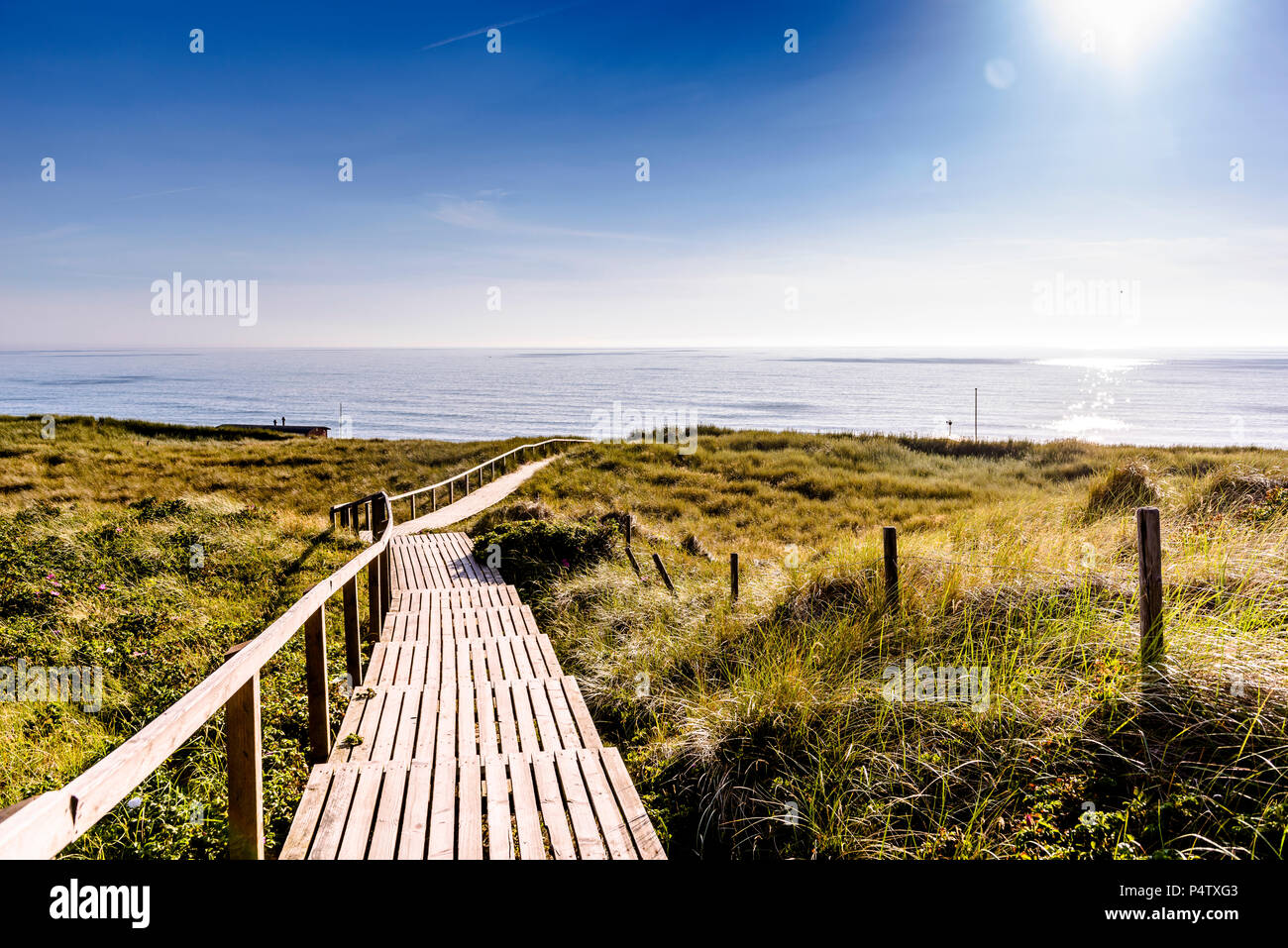 Deutschland, Schleswig-Holstein, Sylt, Holzsteg durch Dünen Stockfoto