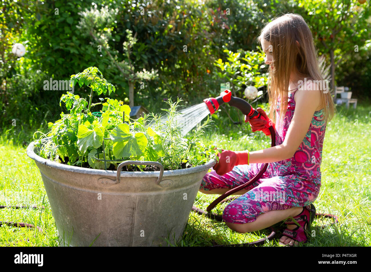 Mädchen mit Gartenschlauch für die Bewässerung der Pflanzen Kräuter in der Zinkwanne im Garten Stockfoto