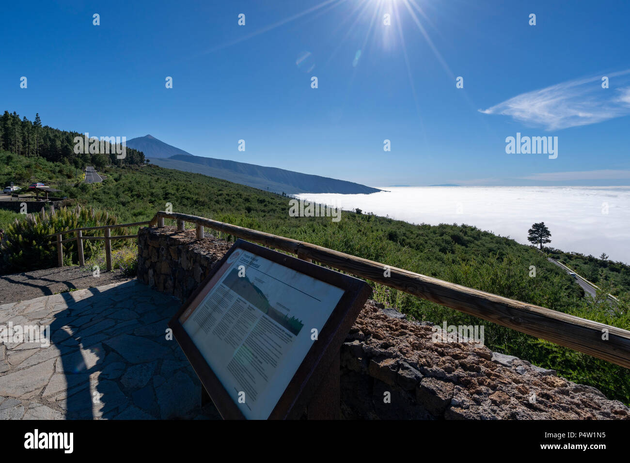 Wolken unten Baumgrenze, Corona Forestal, Nationalpark Teide, Teneriffa, Kanarische Inseln, Spanien Stockfoto
