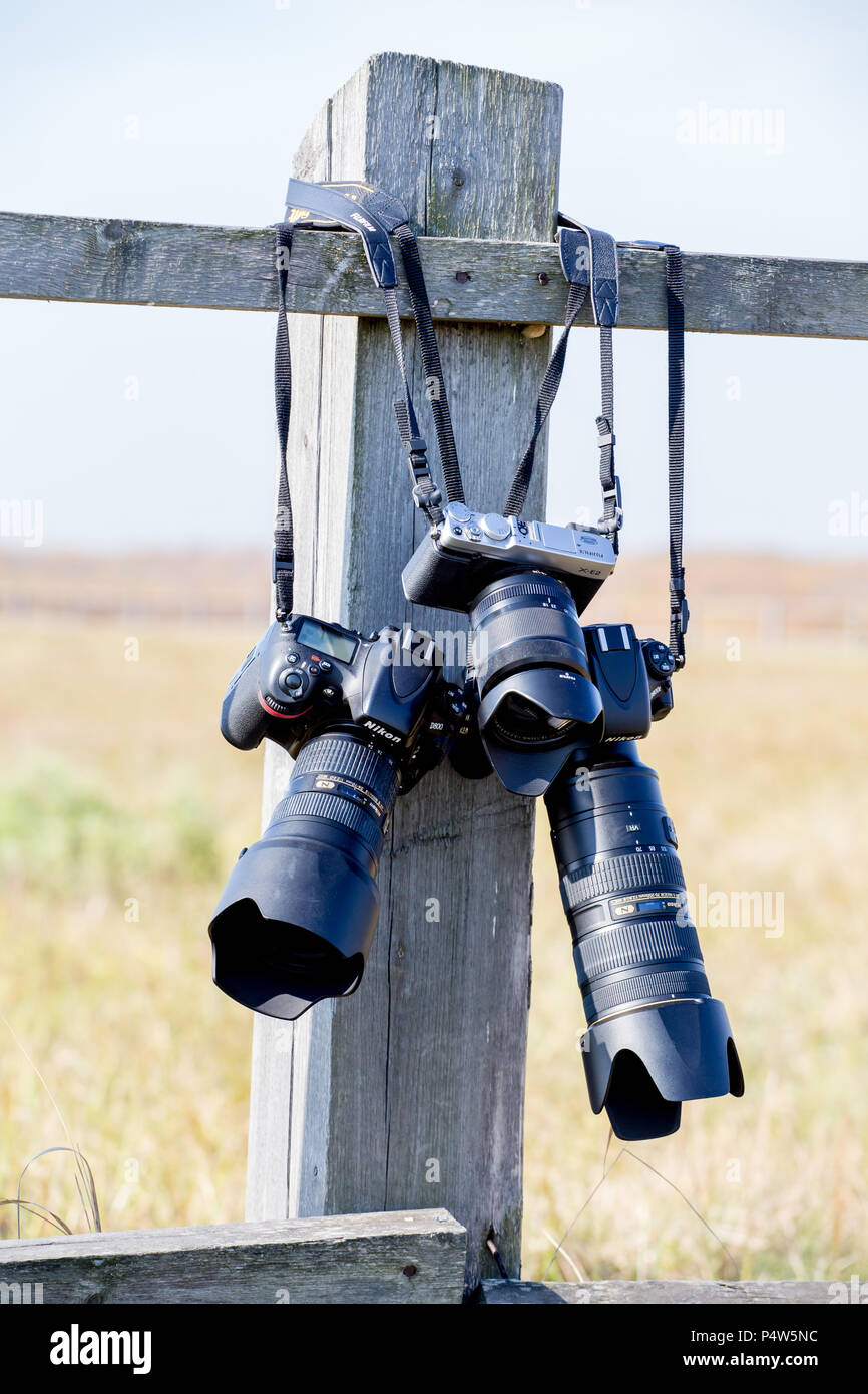 Russland, Wladiwostok, 10/13/2017. Moderne digitale Kameras Nikon D800, Nikon D800 und Fuji X-E2 mit Objektiv hängen an den Holzzaun in einem Land. Konzept: ph Stockfoto
