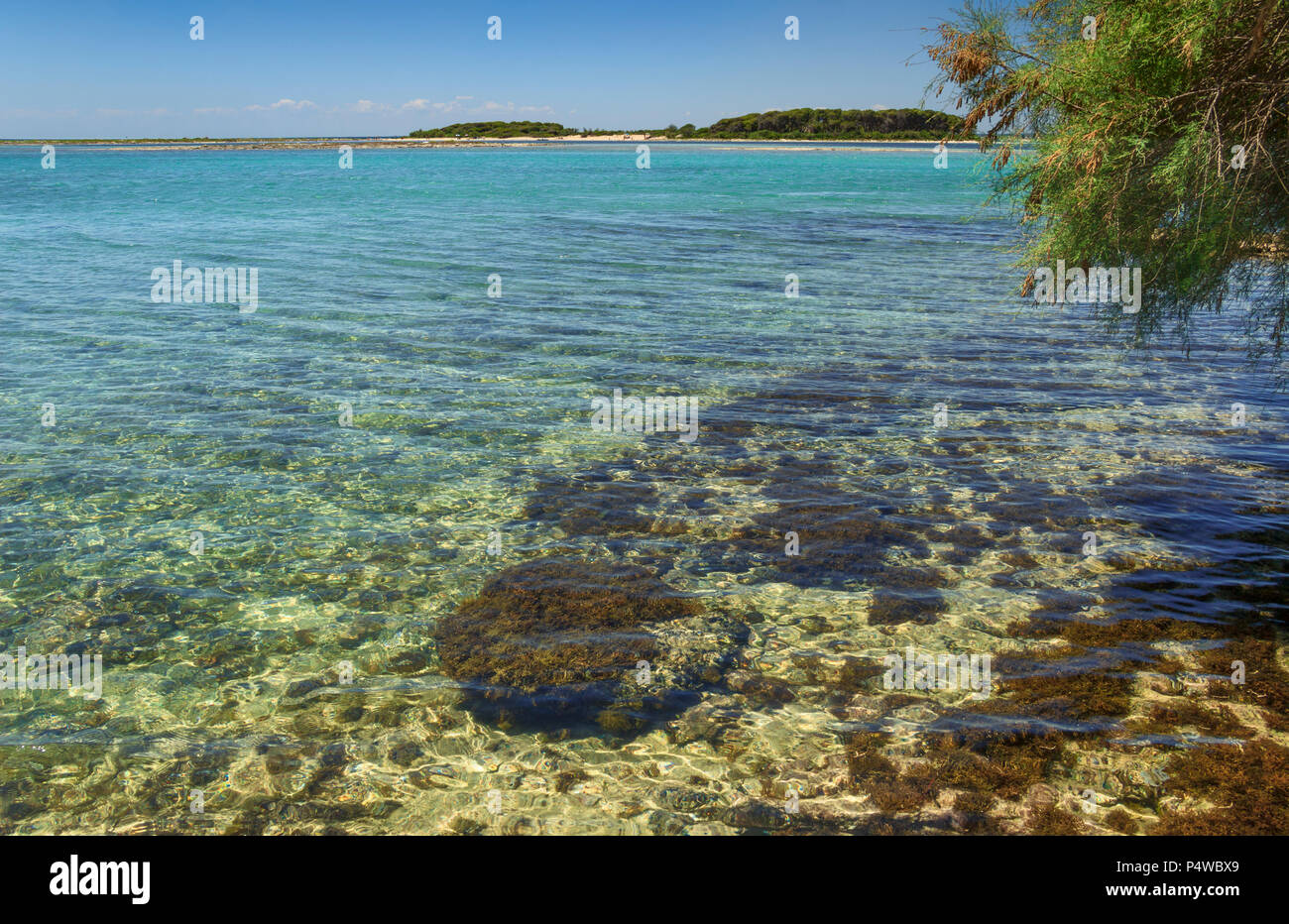 Porto Cesareo (Lecce).- ITALIEN (Apulien) -im Hintergrund die große Insel (oder Isola Grande) Naturschutzgebiet Islet (Salento). Stockfoto