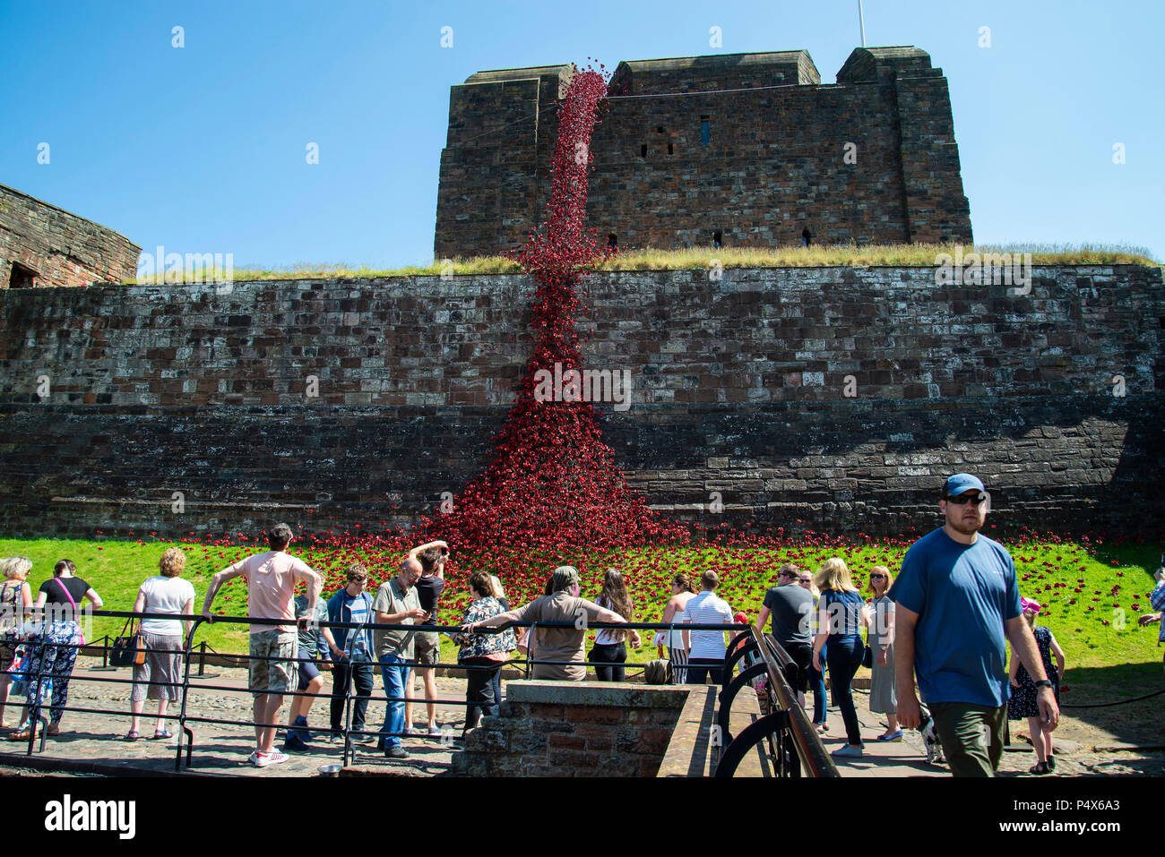 Weinend windows Mohnblumen kunst Anzeige an Carlisle Castle von Paul Cummins und Tom Piper Stockfoto