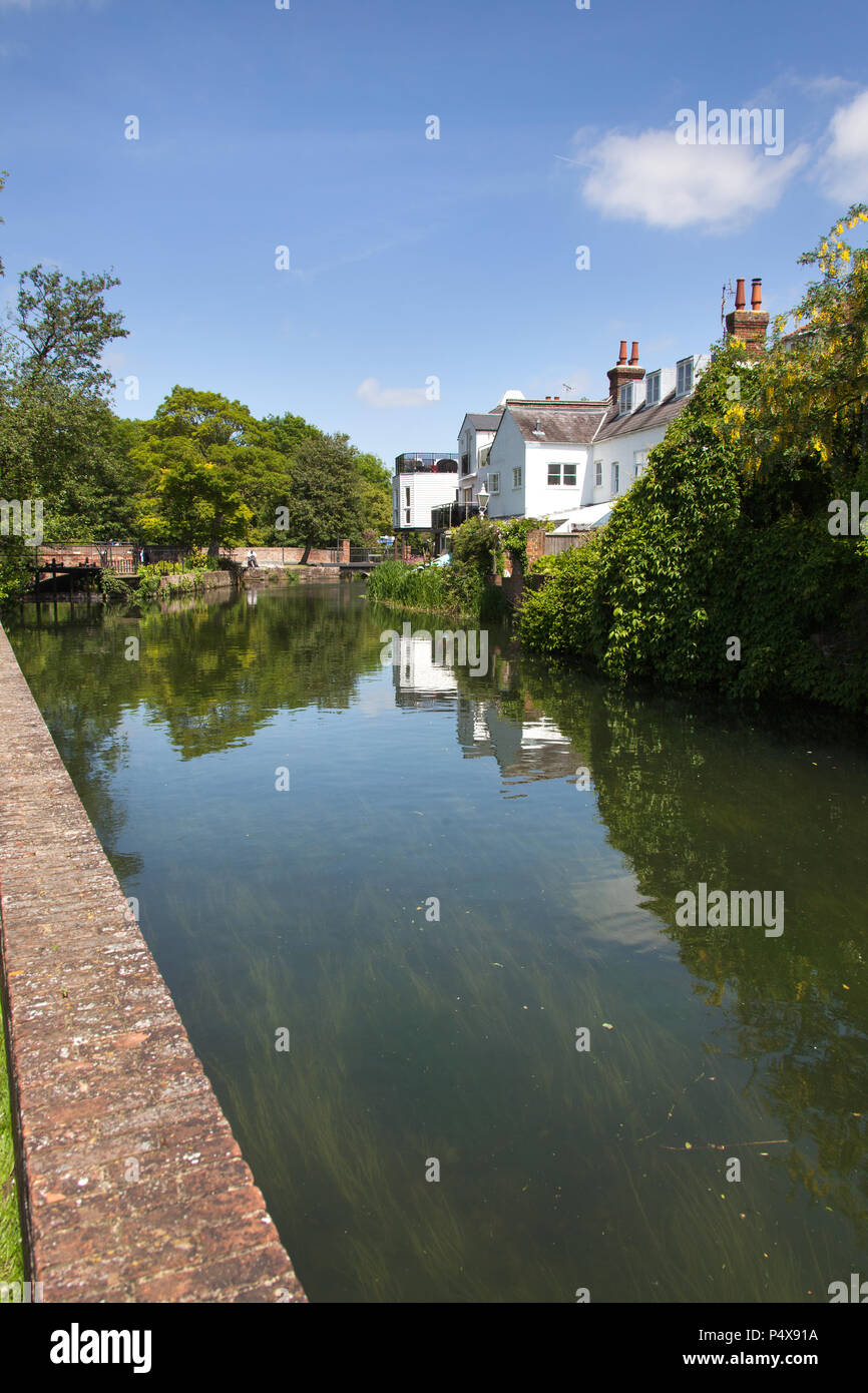 Stadt Canterbury, England. Malerische Sommer Blick des Großen Stour an der Canterbury Abbot's Mühle Garten. Stockfoto