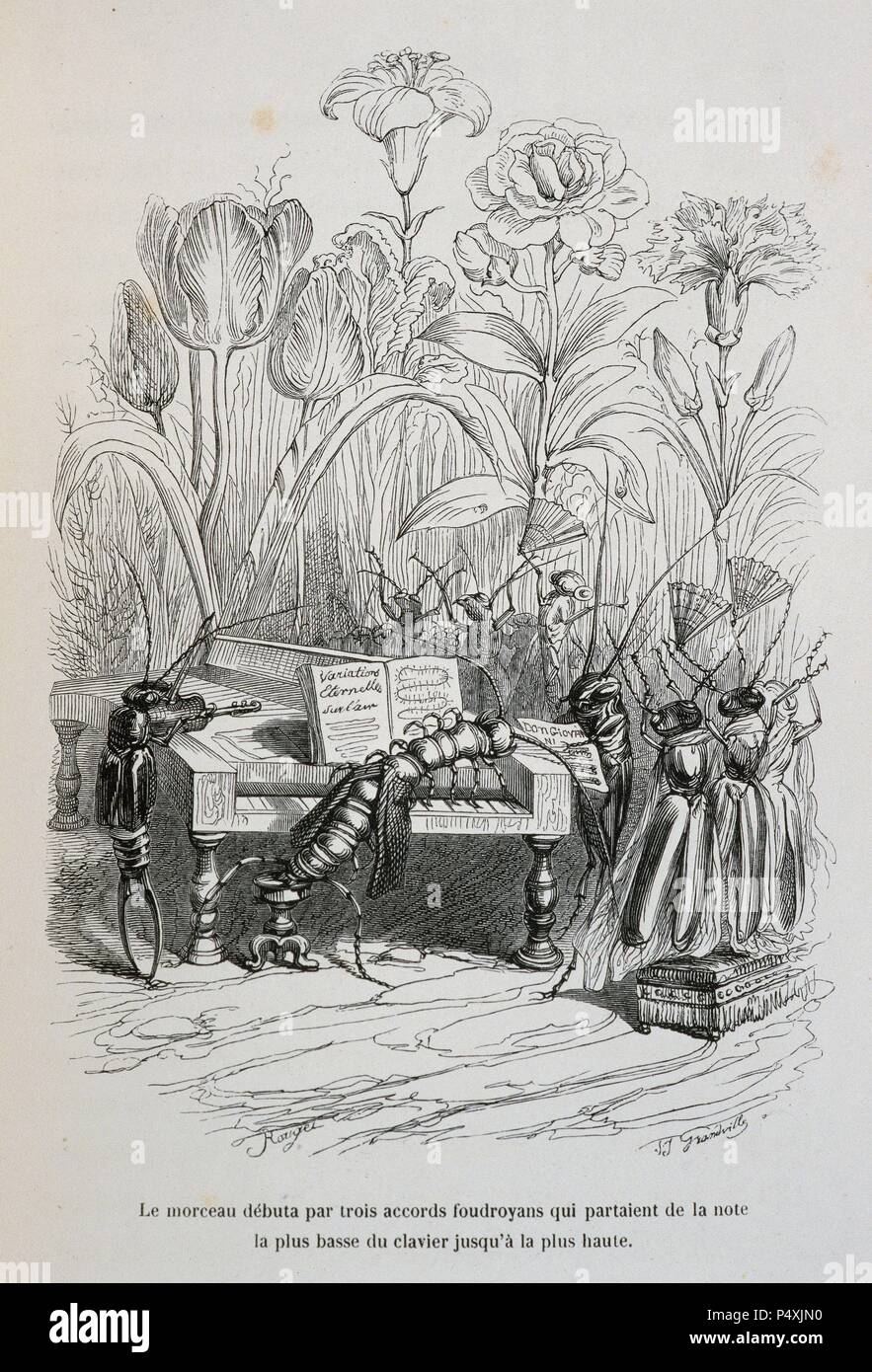 J.j. Grandville (Pseudonym von Jean Ignace Isidore Gérard) (1803-1847). Französischer Karikaturist. Das private und öffentliche Leben der Tiere. Satire der französischen Gesellschaft 1840 durch die Augen von Tieren. Satirische Lithographie. Paris, herausgegeben von J. Hetzel, 1842. Stockfoto