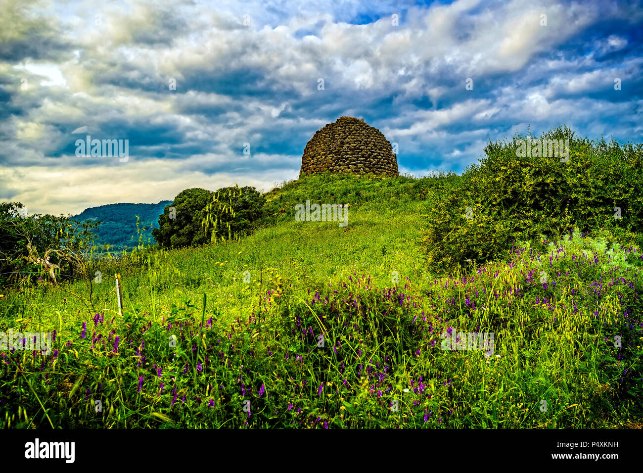 Italien Sardinien Anglona Nuraghe Paddaggiu in der Nähe von Castelsardo Stockfoto