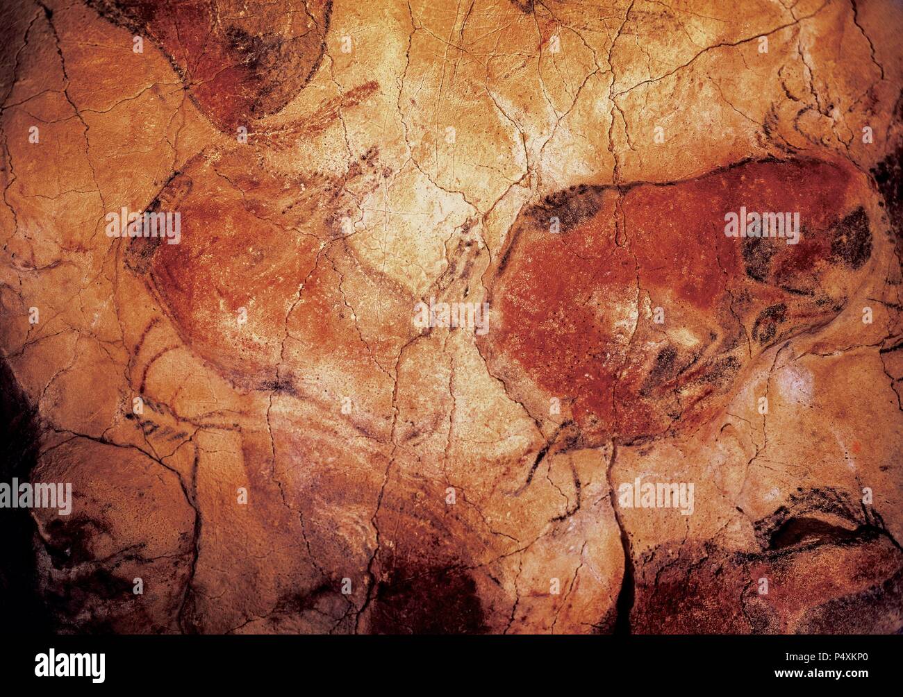 Spanien. Kantabrien. Höhle von Altamira. Jungpaläolithikum Gemälde. Bison. Polychrome Decke. Um Santillana del Mar Weltkulturerbe der UNESCO. Stockfoto