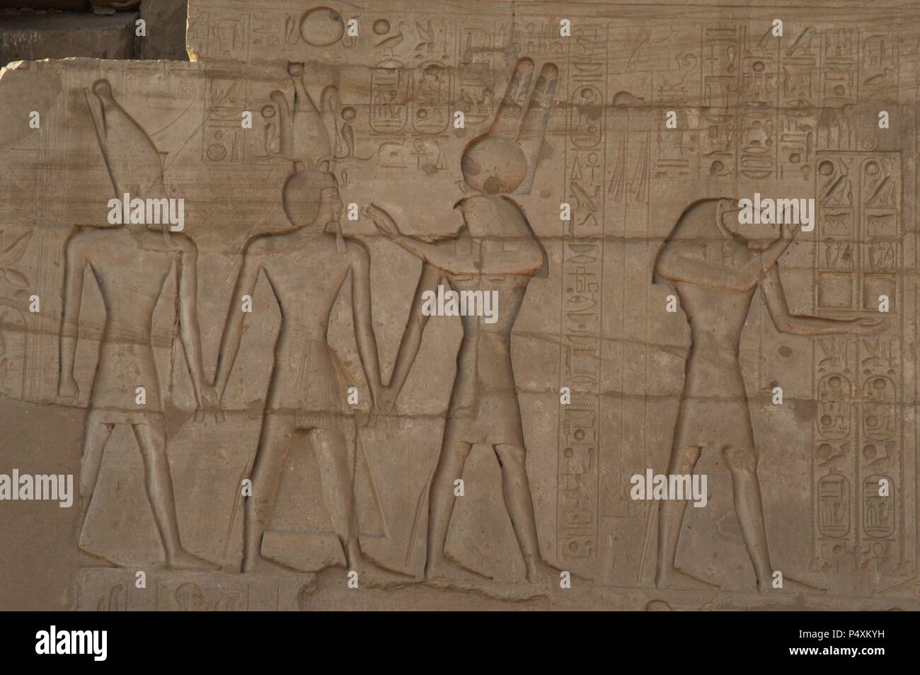 Ibis kopf thoth Fotos und Bildmaterial in hoher Auflösung Seite 2