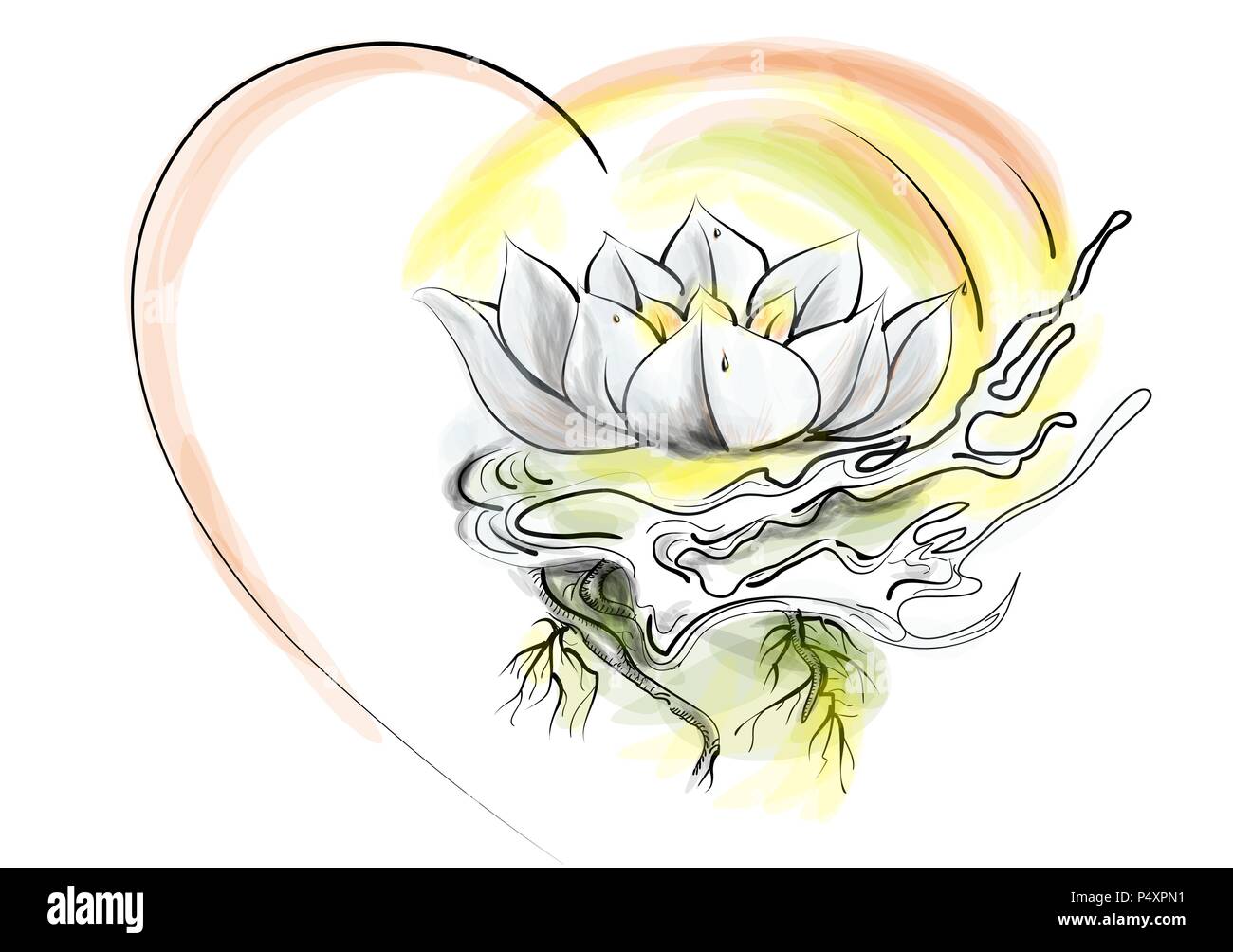 Lotus Und Herz Auf Weissem Hintergrund Stock Vektorgrafik Alamy