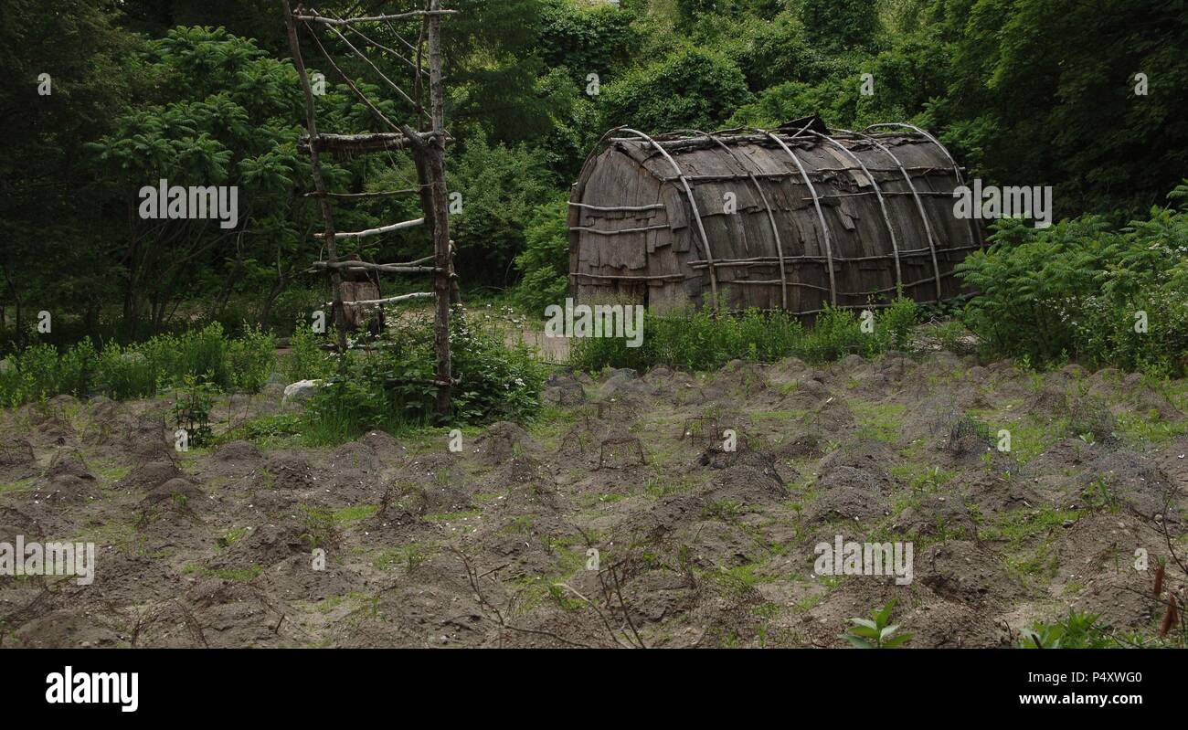 Plimoth Plantation oder Historische Museum. Ist ein lebendiges Museum zeigt, dass die ursprüngliche Siedlung der Plymouth Kolonie im 17. Jahrhundert von englischen Kolonisten gegründet. Die Abrechnung der Wampanoag Indian Tribe. Plymouth. Massachusetts. In den Vereinigten Staaten. Stockfoto