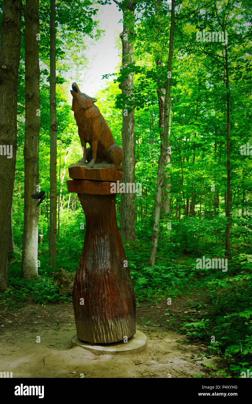 Crawford Lake Conservation Area und Irokesen Dorf. Campbellville Ontario Kanada. Holzschnitzereien entlang der Versteckten und Trail suchen. Stockfoto