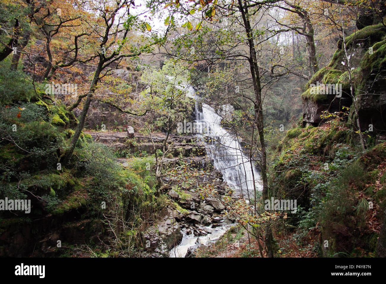 Kain · Pistyll Rhaeadr Mawddach Wasserfall in Snowdonia National Park North Wales UK Stockfoto