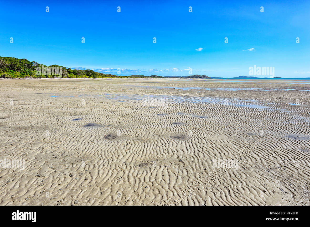 Frangipani Beach an der Spitze von Cape York Peninsula, Far North Queensland, FNQ, QLD, Australien Stockfoto